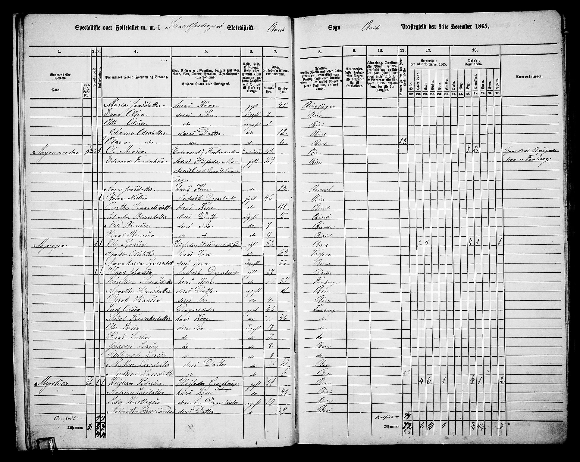 RA, 1865 census for Biri, 1865, p. 14