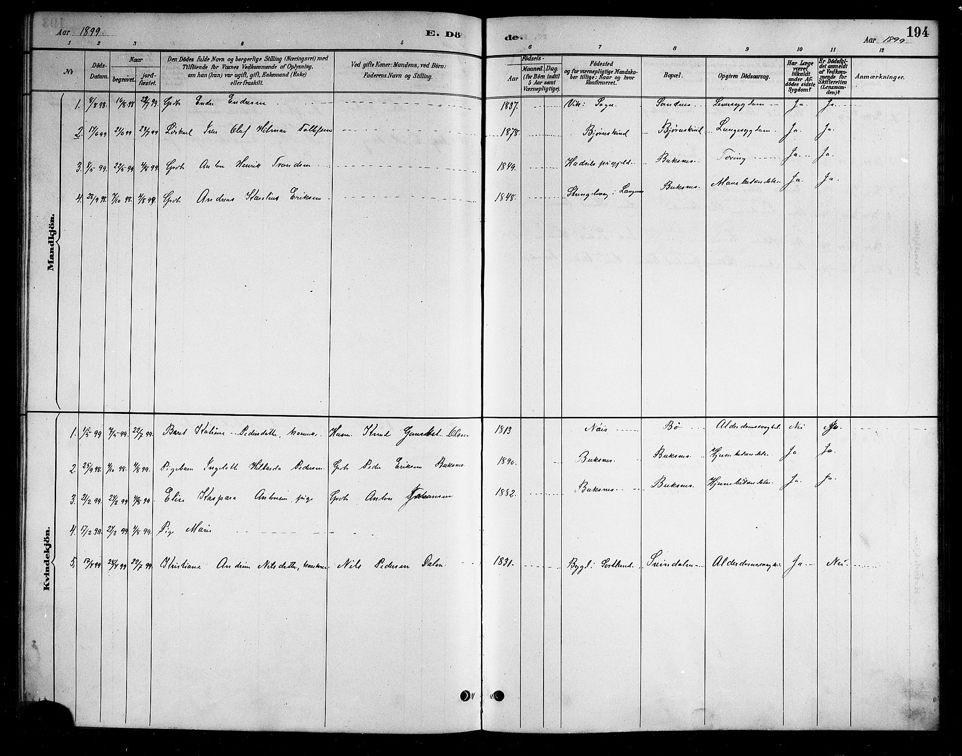 Ministerialprotokoller, klokkerbøker og fødselsregistre - Nordland, AV/SAT-A-1459/898/L1427: Parish register (copy) no. 898C02, 1887-1917, p. 194