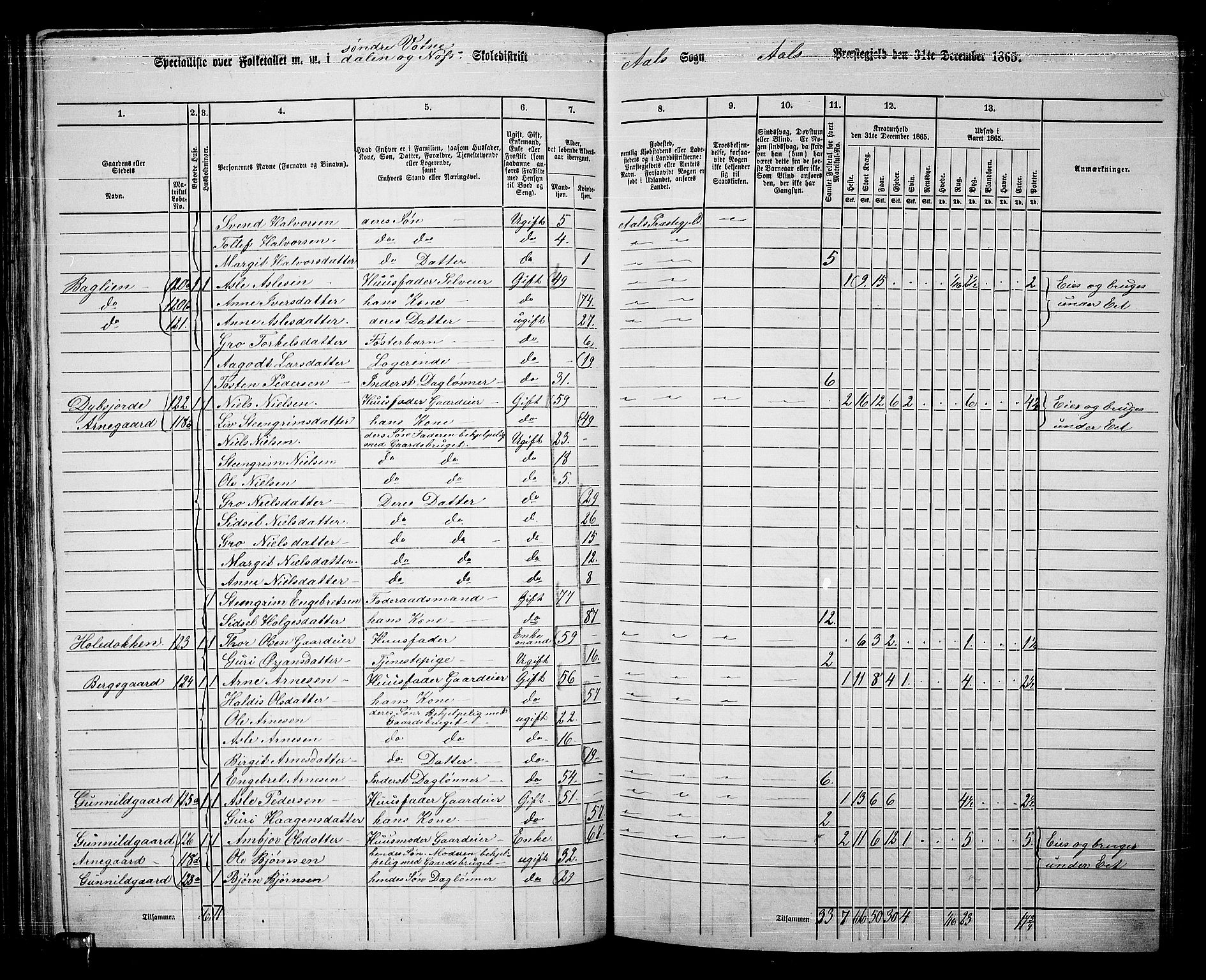 RA, 1865 census for Ål, 1865, p. 77