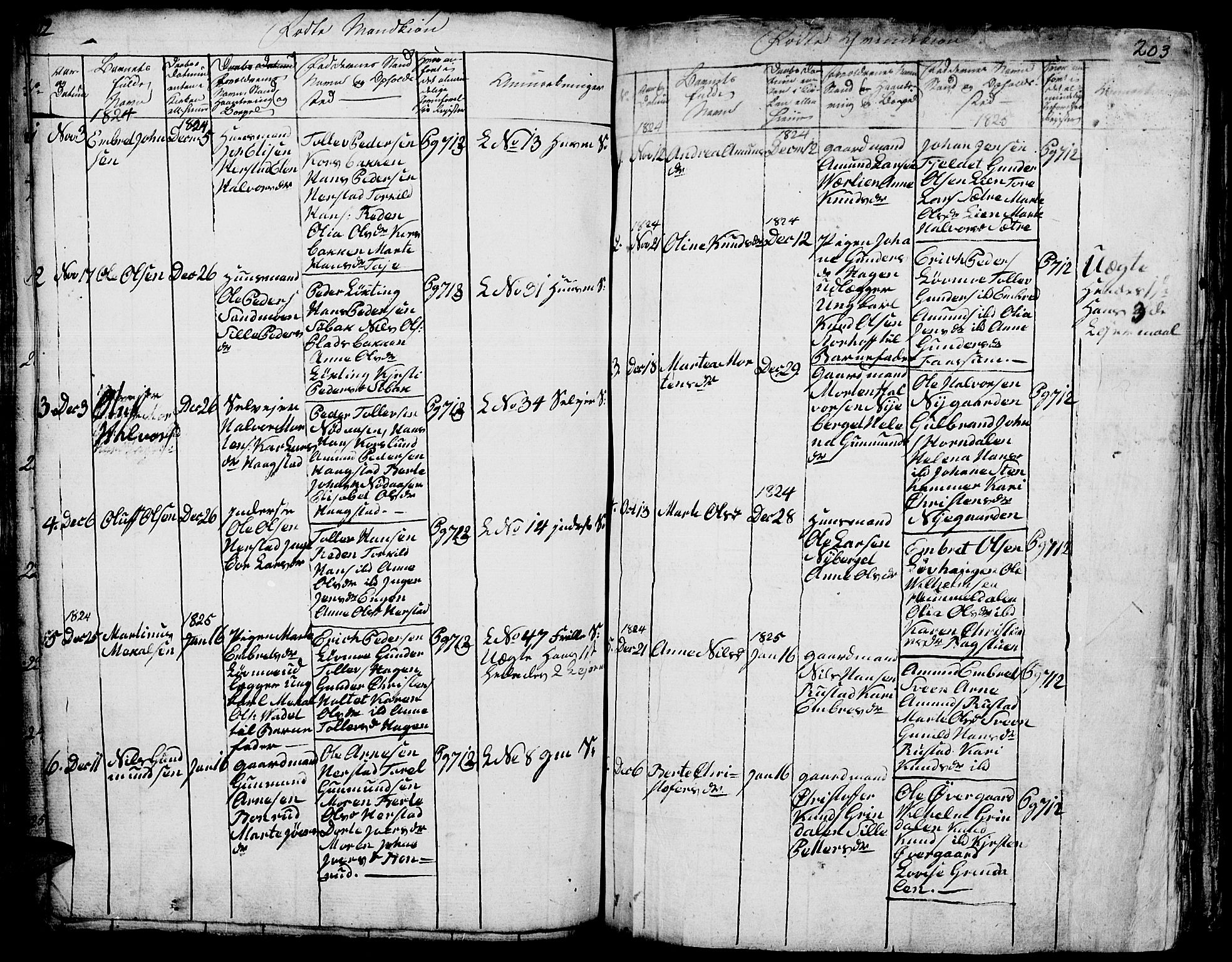 Elverum prestekontor, AV/SAH-PREST-044/H/Ha/Hab/L0001: Parish register (copy) no. 1, 1815-1829, p. 202-203