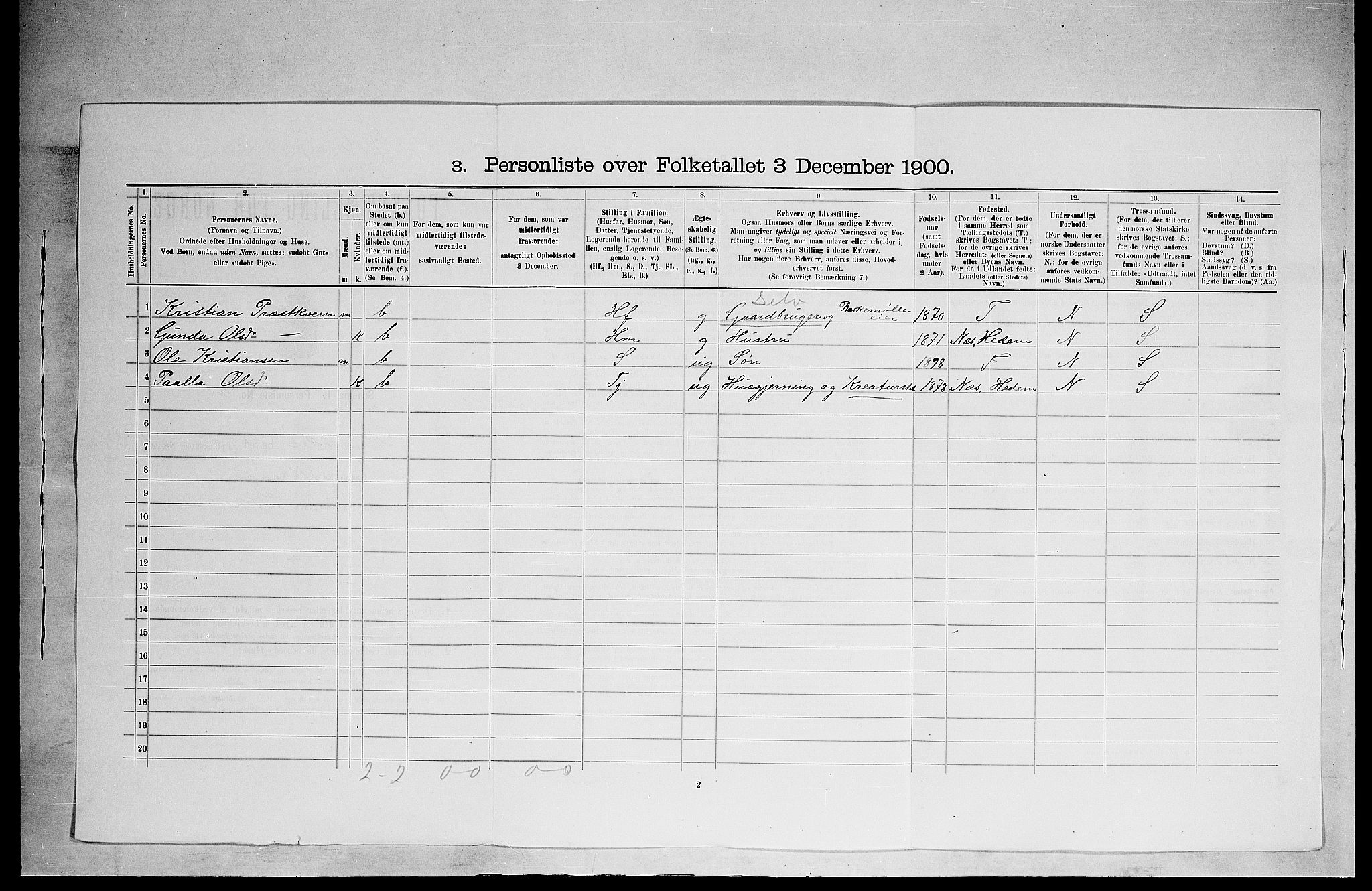 SAH, 1900 census for Ringsaker, 1900, p. 2743