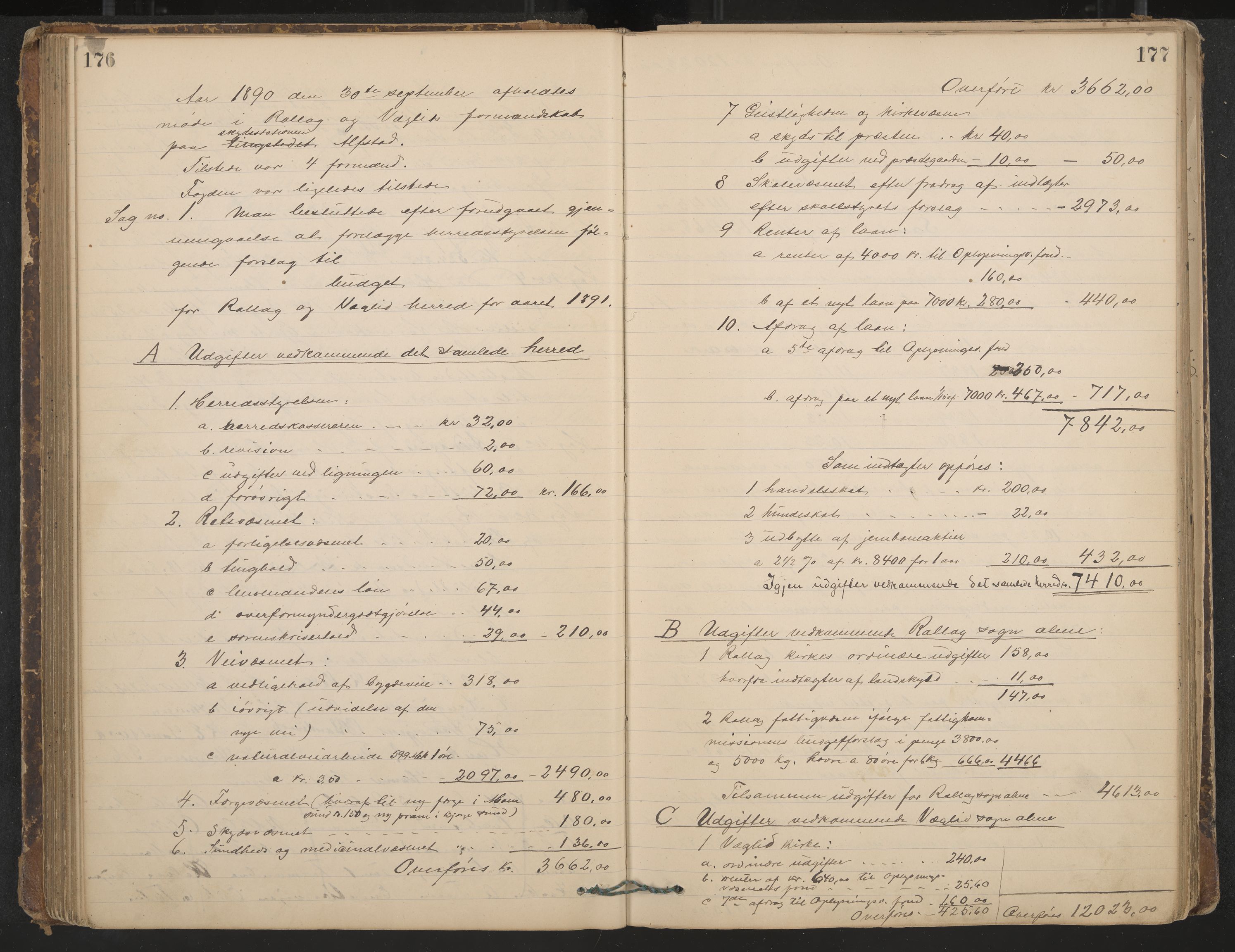 Rollag formannskap og sentraladministrasjon, IKAK/0632021-2/A/Aa/L0003: Møtebok, 1884-1897, p. 176-177