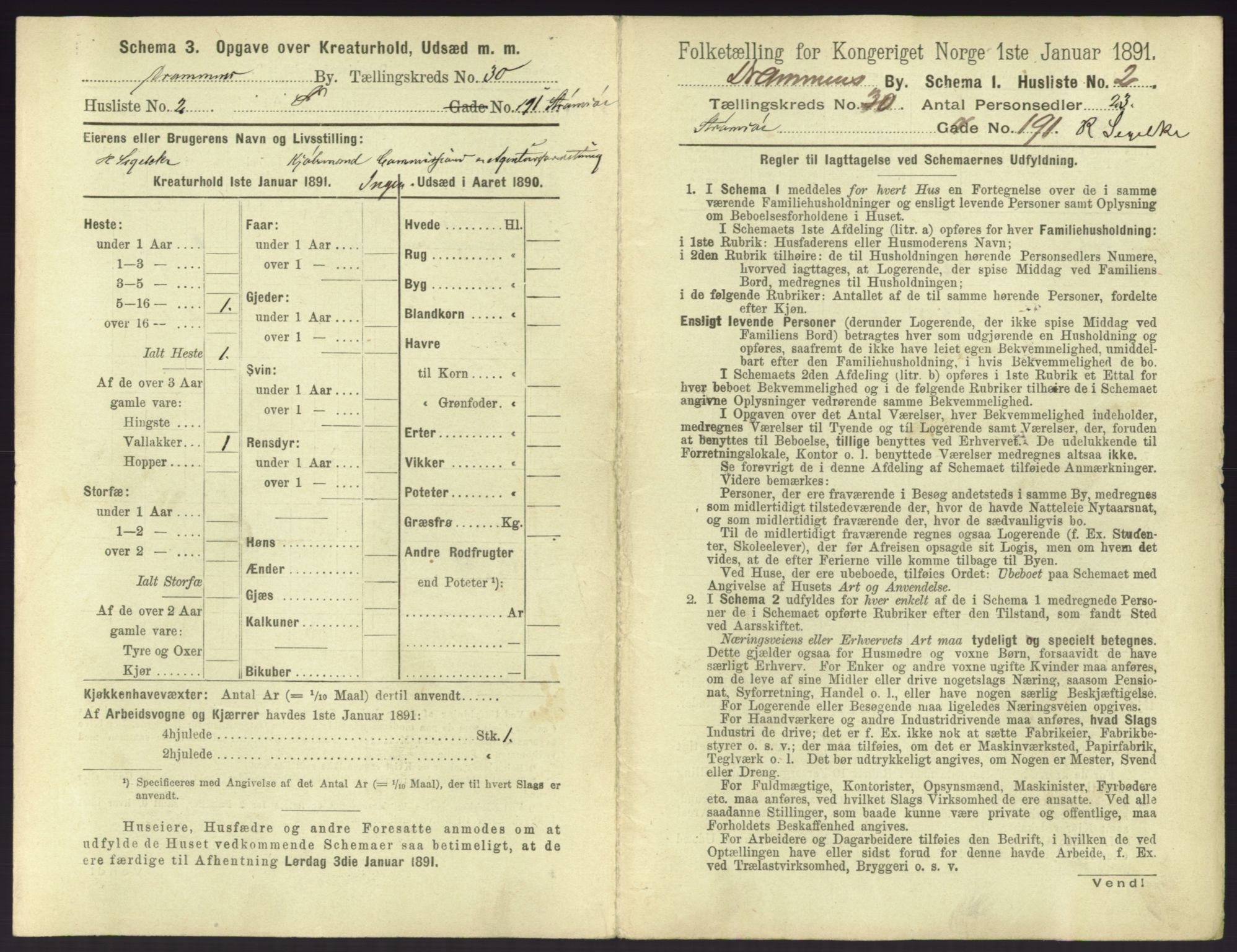 RA, 1891 census for 0602 Drammen, 1891, p. 2567