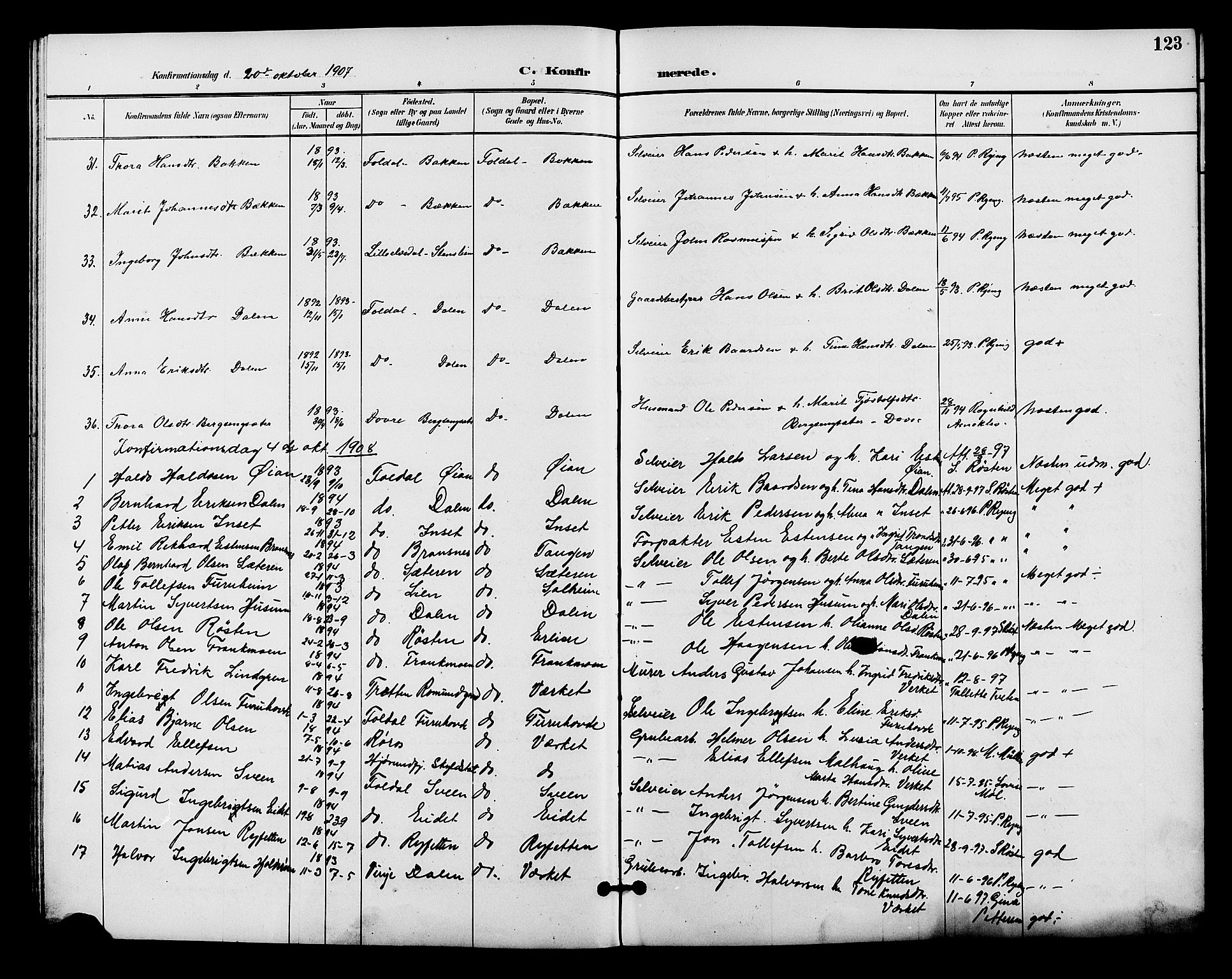 Alvdal prestekontor, SAH/PREST-060/H/Ha/Hab/L0004: Parish register (copy) no. 4, 1894-1910, p. 123