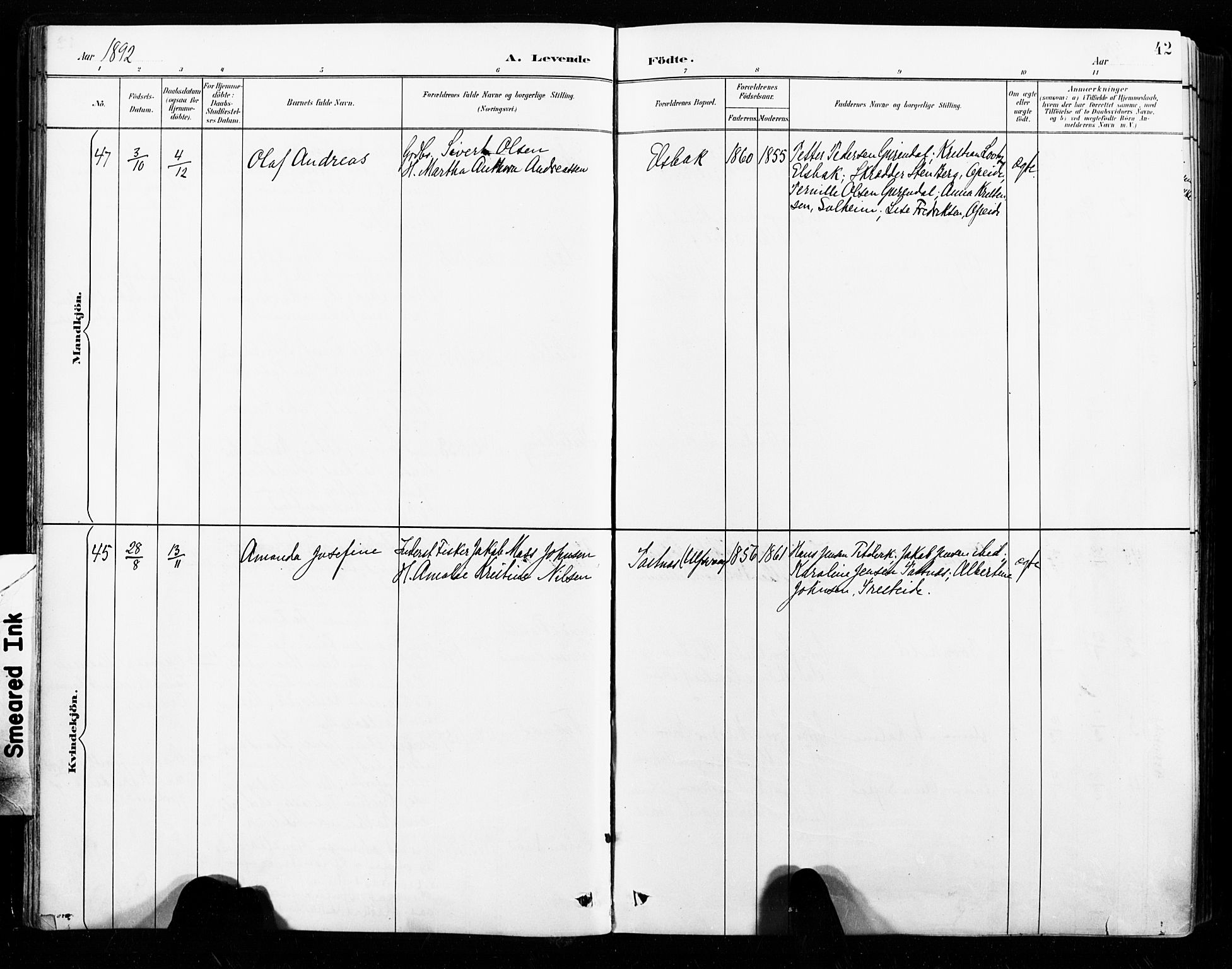 Ministerialprotokoller, klokkerbøker og fødselsregistre - Nordland, AV/SAT-A-1459/859/L0847: Parish register (official) no. 859A07, 1890-1899, p. 42