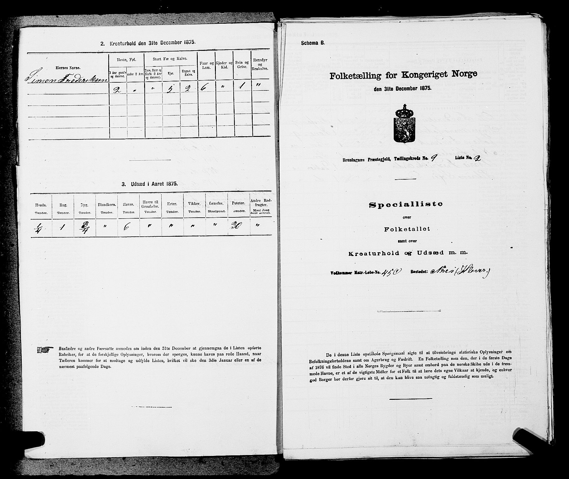 SAKO, 1875 census for 0726P Brunlanes, 1875, p. 1060