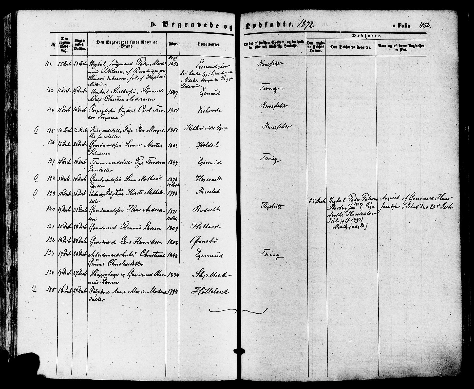 Eigersund sokneprestkontor, AV/SAST-A-101807/S08/L0014: Parish register (official) no. A 13, 1866-1878, p. 482