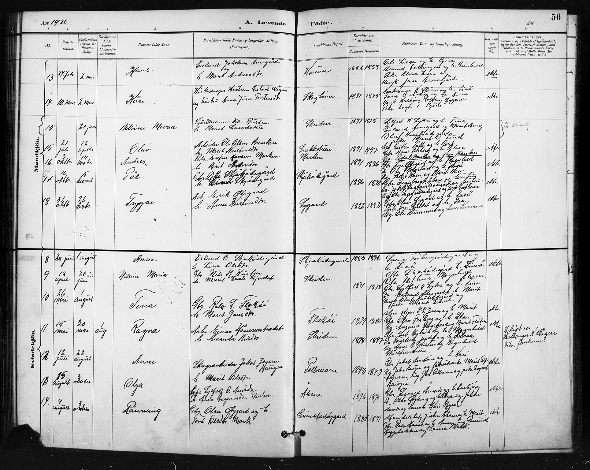 Skjåk prestekontor, SAH/PREST-072/H/Ha/Hab/L0004: Parish register (copy) no. 4, 1895-1921, p. 56