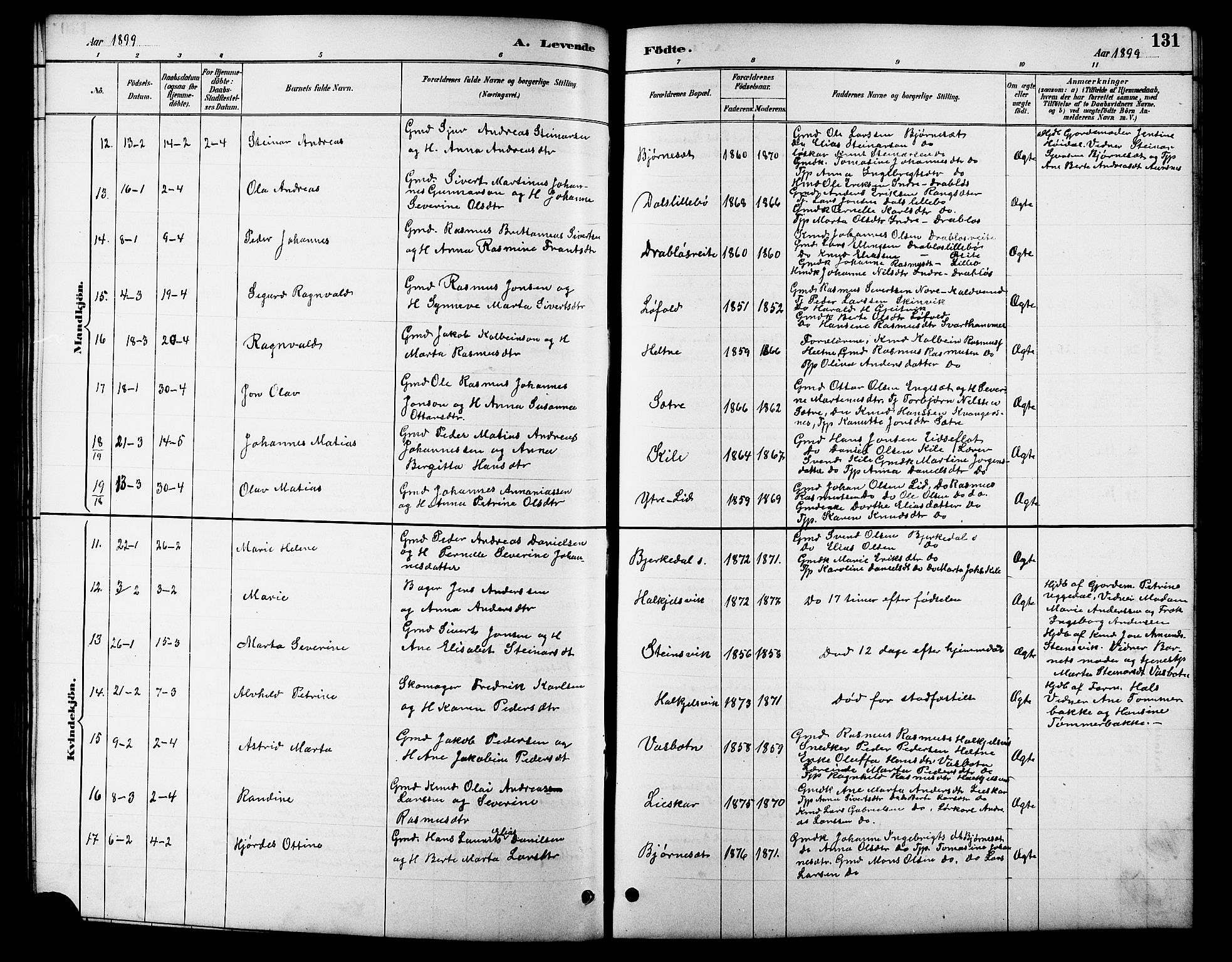 Ministerialprotokoller, klokkerbøker og fødselsregistre - Møre og Romsdal, SAT/A-1454/511/L0158: Parish register (copy) no. 511C04, 1884-1903, p. 131
