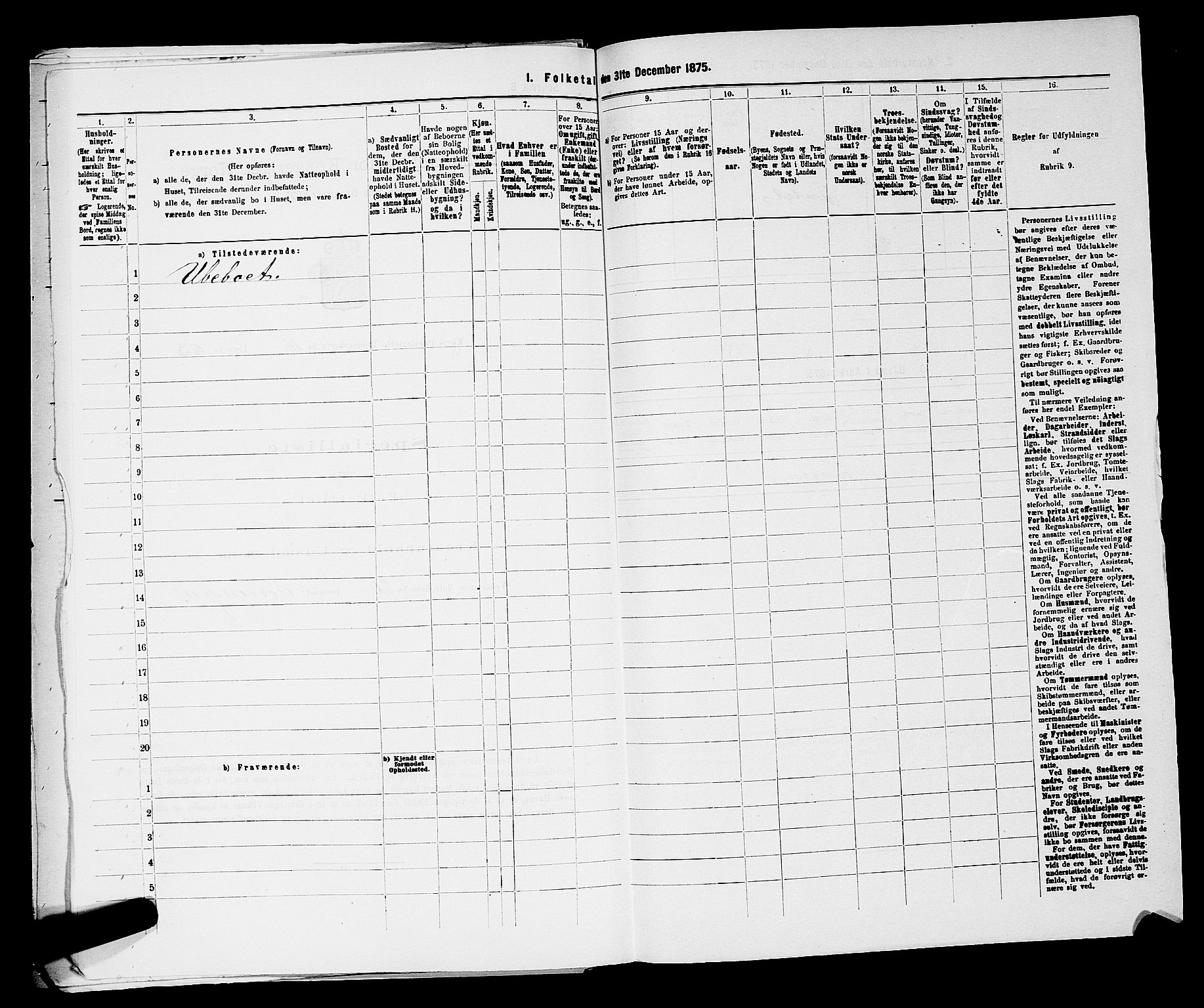 SAKO, 1875 census for 0624P Eiker, 1875, p. 2976