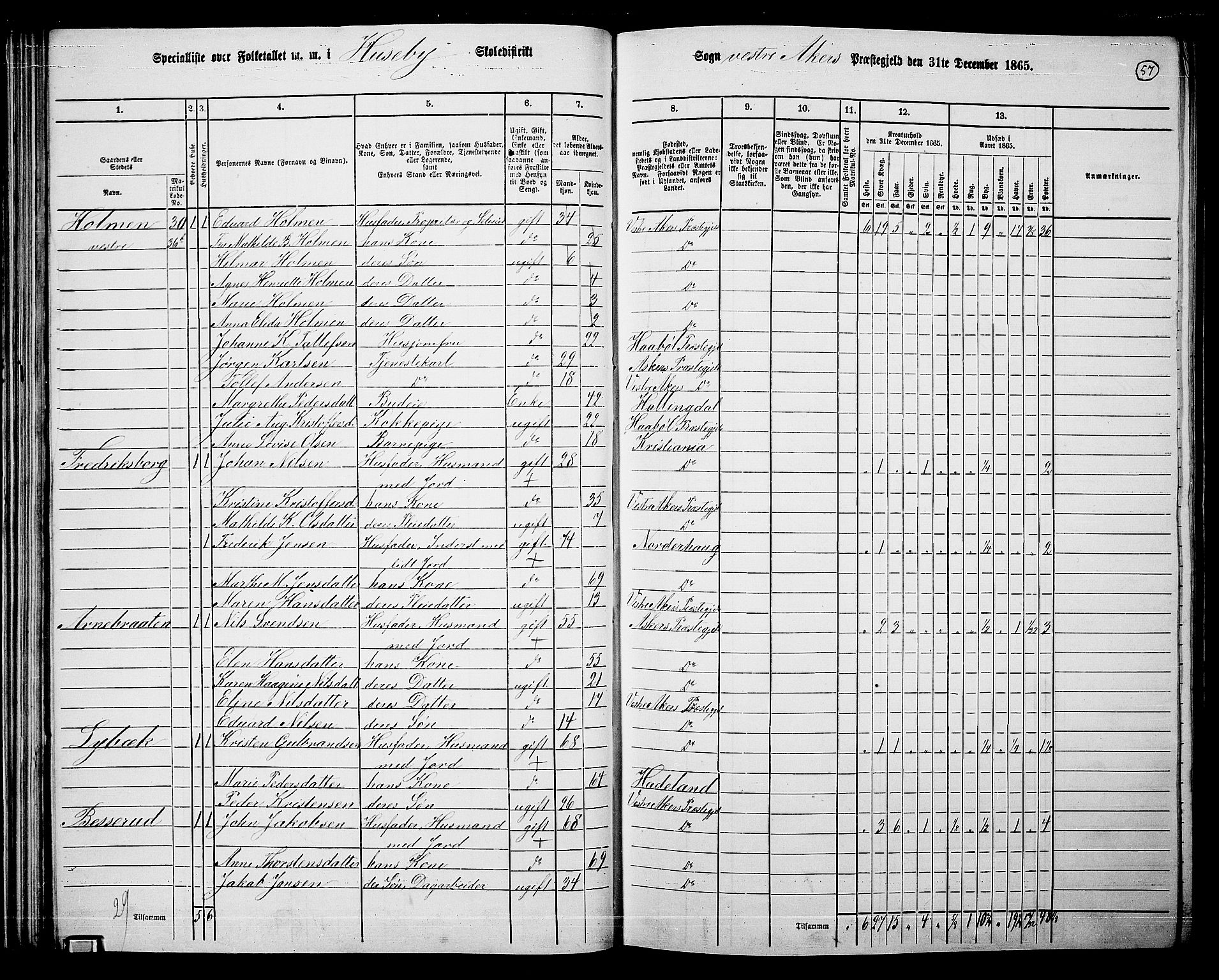 RA, 1865 census for Vestre Aker, 1865, p. 230