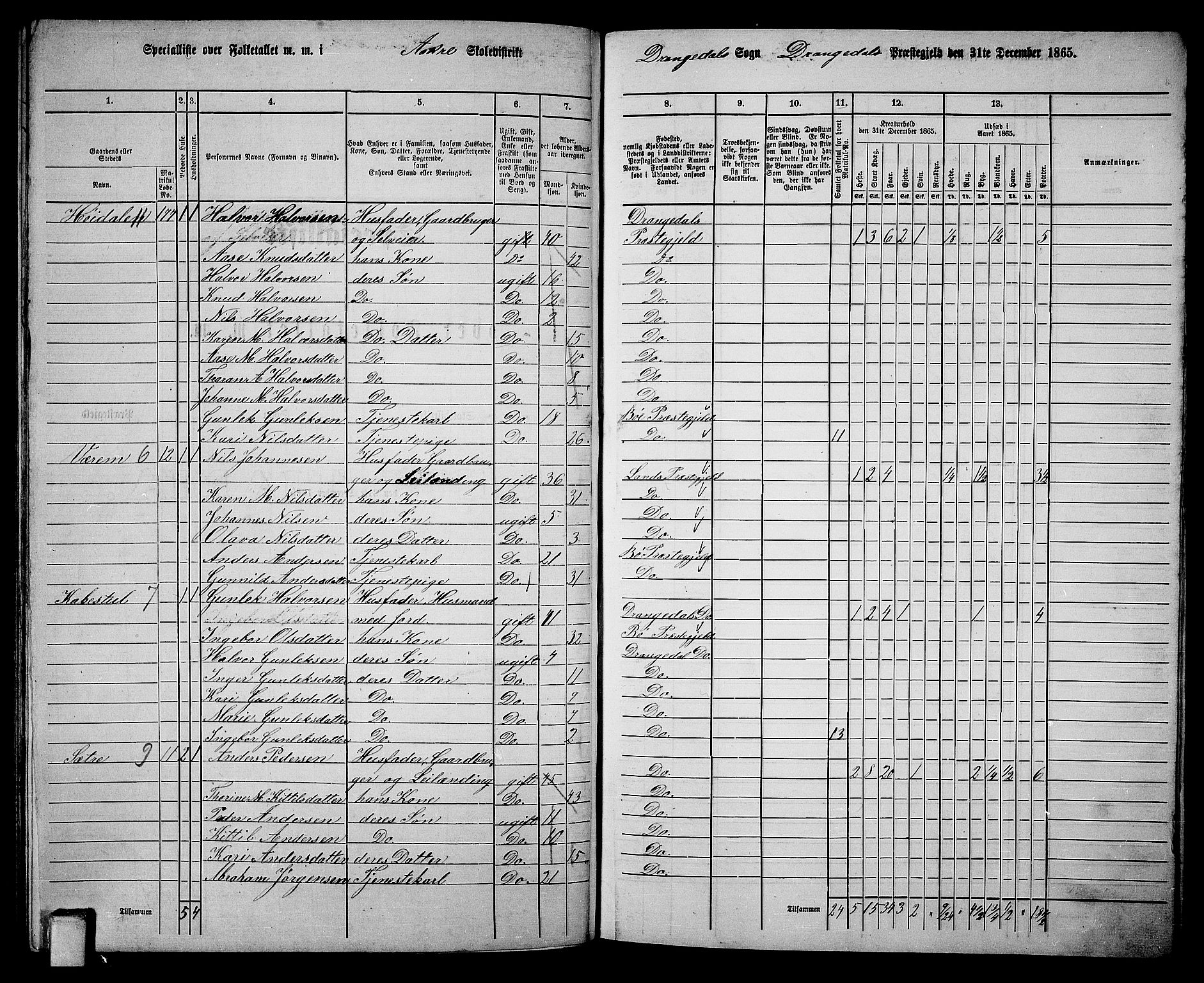 RA, 1865 census for Drangedal, 1865, p. 82