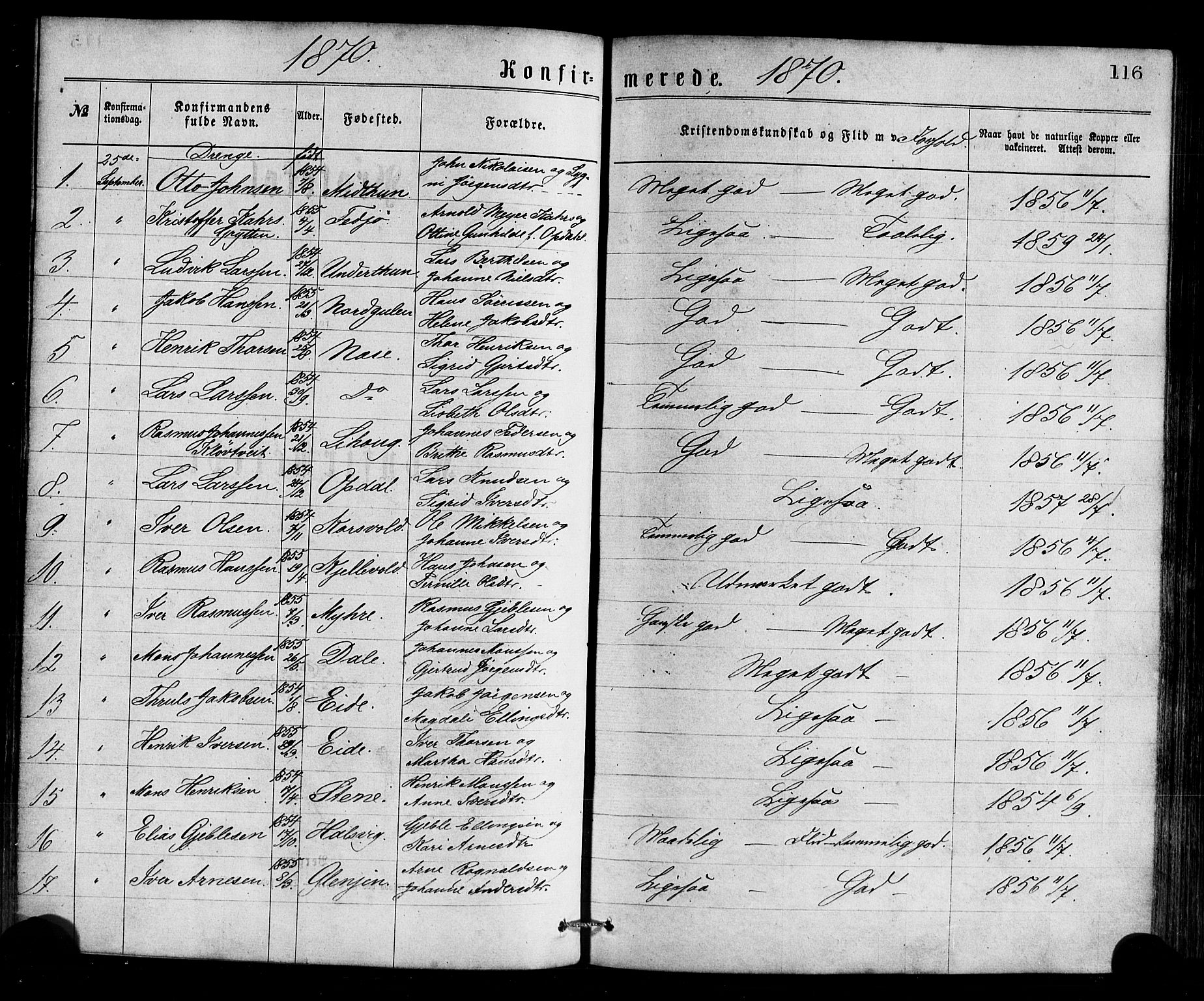 Gulen sokneprestembete, AV/SAB-A-80201/H/Haa/Haaa/L0023: Parish register (official) no. A 23, 1870-1880, p. 116