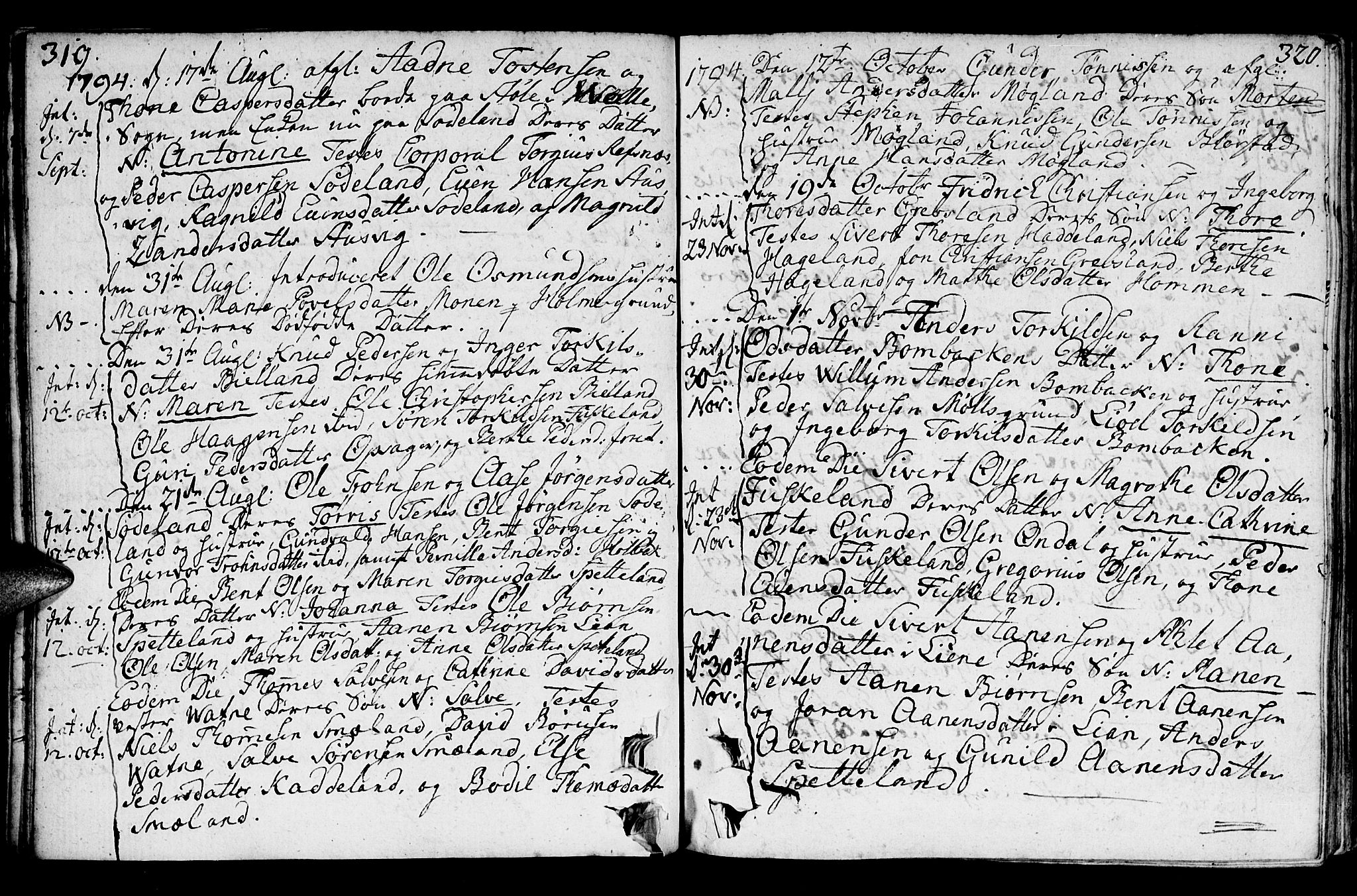 Holum sokneprestkontor, SAK/1111-0022/F/Fa/Faa/L0003: Parish register (official) no. A 3, 1780-1821, p. 319-320