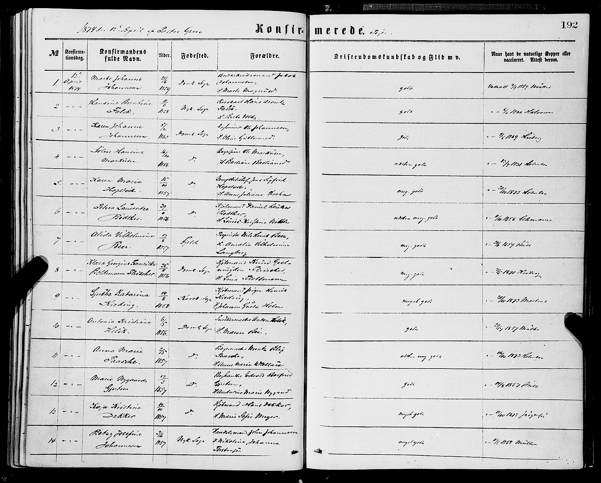 Domkirken sokneprestembete, SAB/A-74801/H/Haa/L0029: Parish register (official) no. C 4, 1864-1879, p. 192