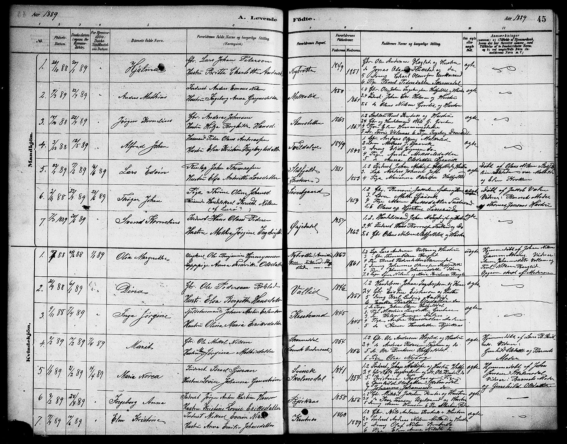 Ministerialprotokoller, klokkerbøker og fødselsregistre - Nordland, SAT/A-1459/823/L0330: Parish register (copy) no. 823C02, 1879-1916, p. 45