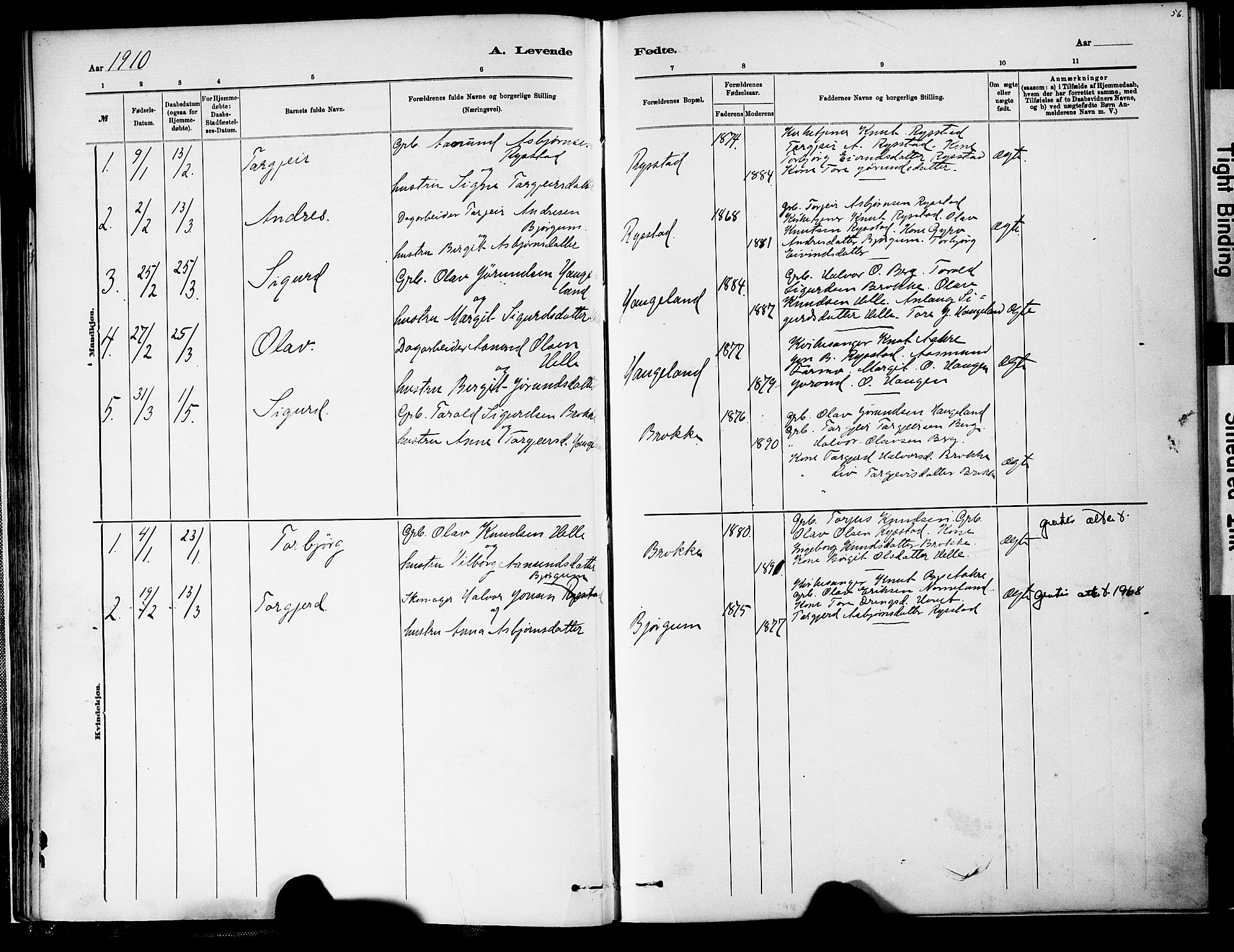 Valle sokneprestkontor, AV/SAK-1111-0044/F/Fa/Fab/L0001: Parish register (official) no. A 1, 1882-1910, p. 56