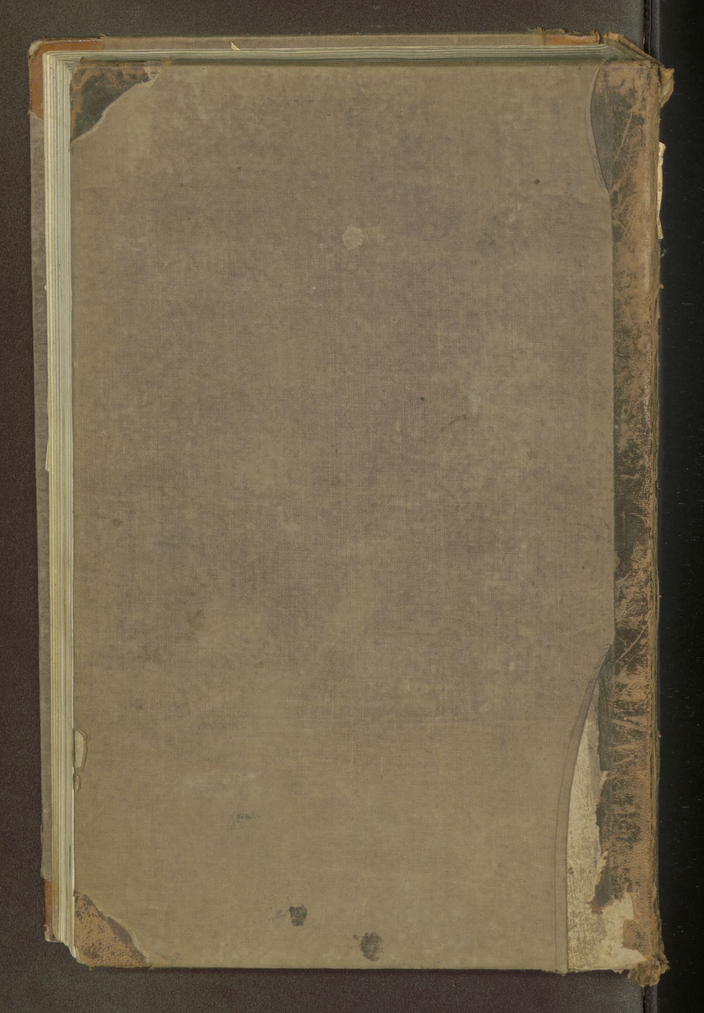 Røros kobberverk, SAT/PA-0211/1/16/16A2/L0019: Jordegodset i det hele vedkommende, 1800-1887, p. 300