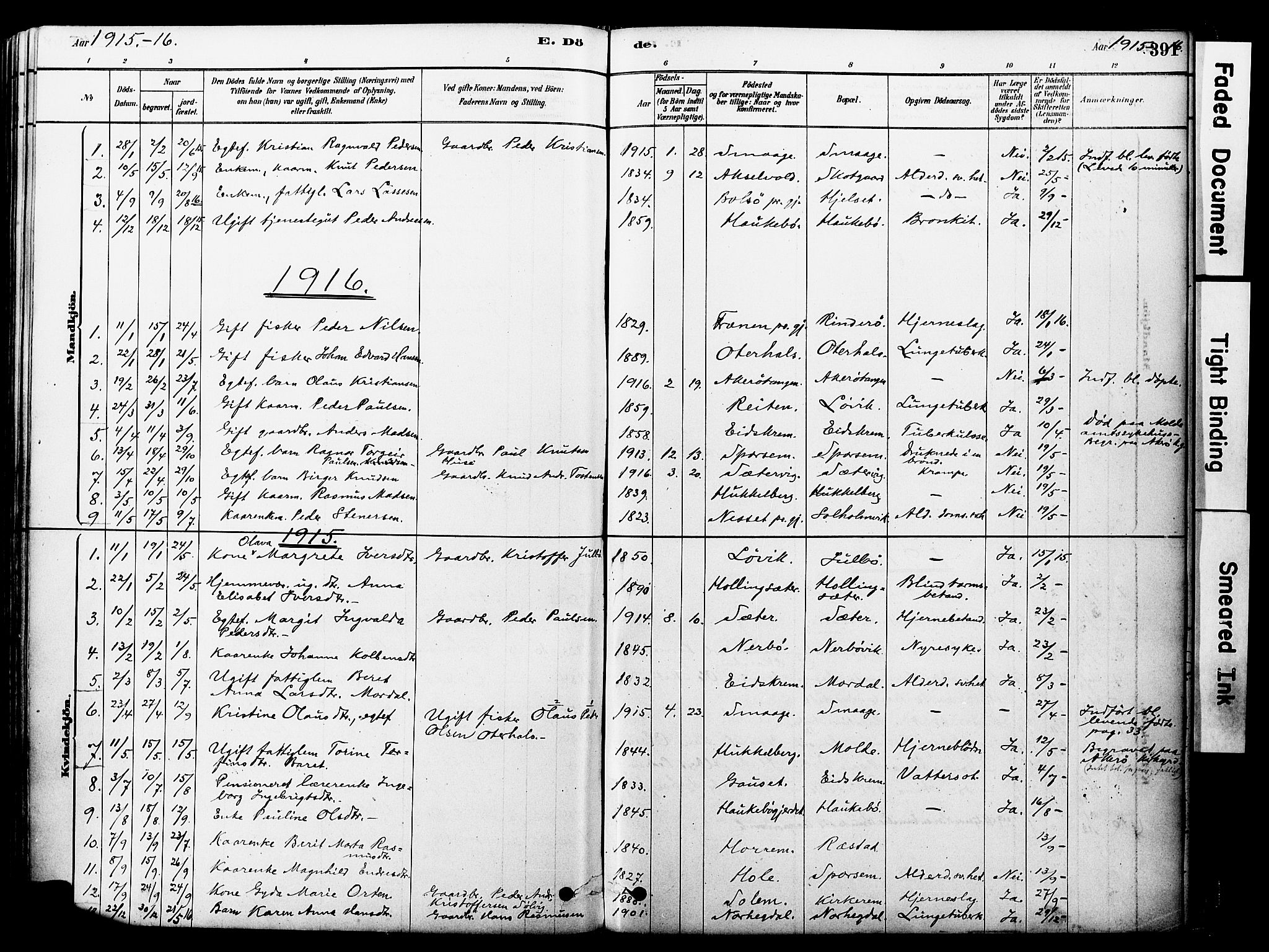 Ministerialprotokoller, klokkerbøker og fødselsregistre - Møre og Romsdal, SAT/A-1454/560/L0721: Parish register (official) no. 560A05, 1878-1917, p. 391