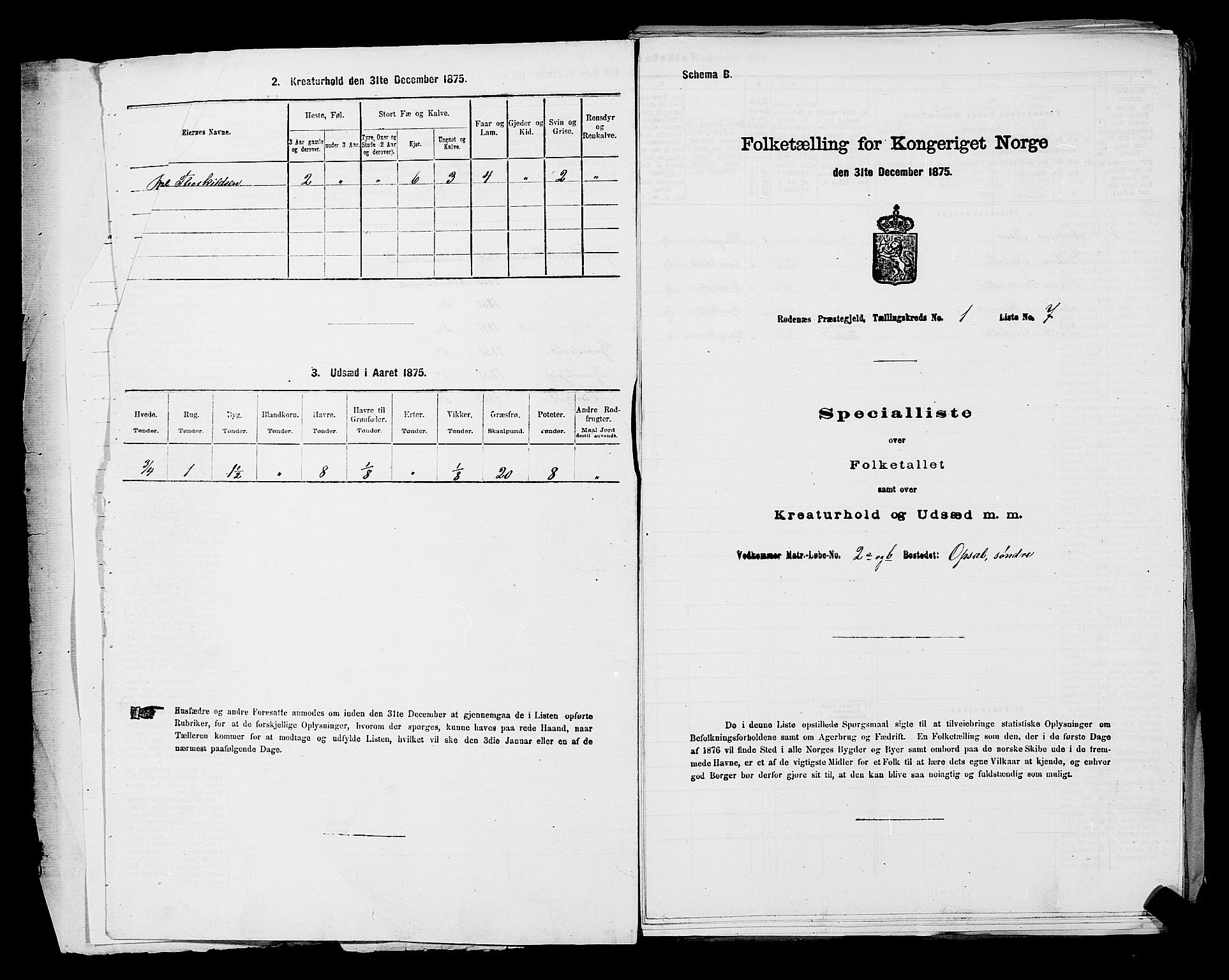 RA, 1875 census for 0120P Rødenes, 1875, p. 27