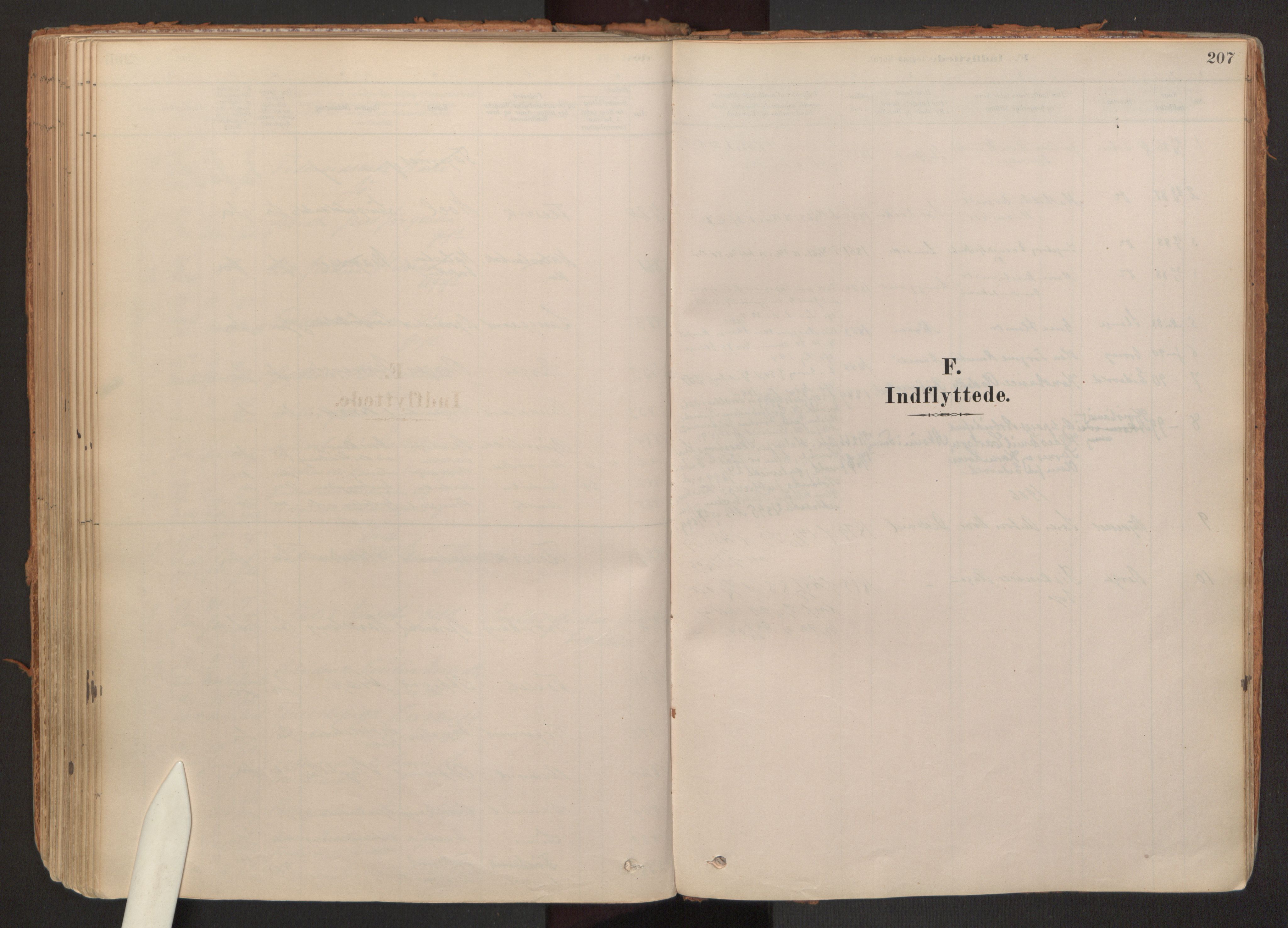 Hurdal prestekontor Kirkebøker, SAO/A-10889/F/Fb/L0003: Parish register (official) no. II 3, 1878-1920, p. 207