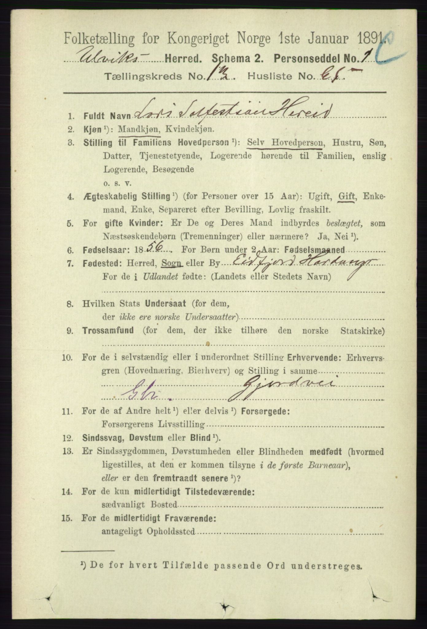 RA, 1891 census for 1233 Ulvik, 1891, p. 4201