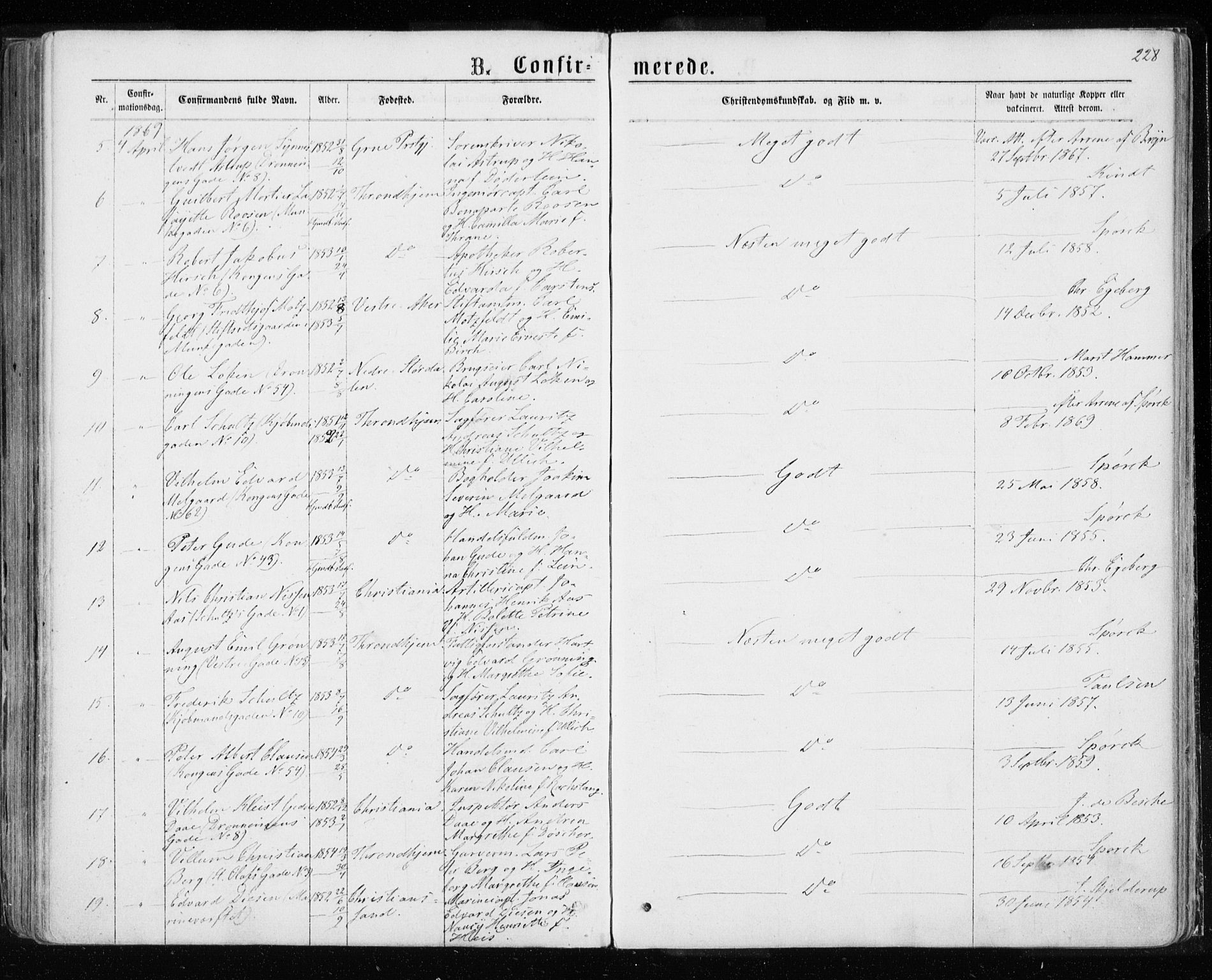 Ministerialprotokoller, klokkerbøker og fødselsregistre - Sør-Trøndelag, AV/SAT-A-1456/601/L0054: Parish register (official) no. 601A22, 1866-1877, p. 228