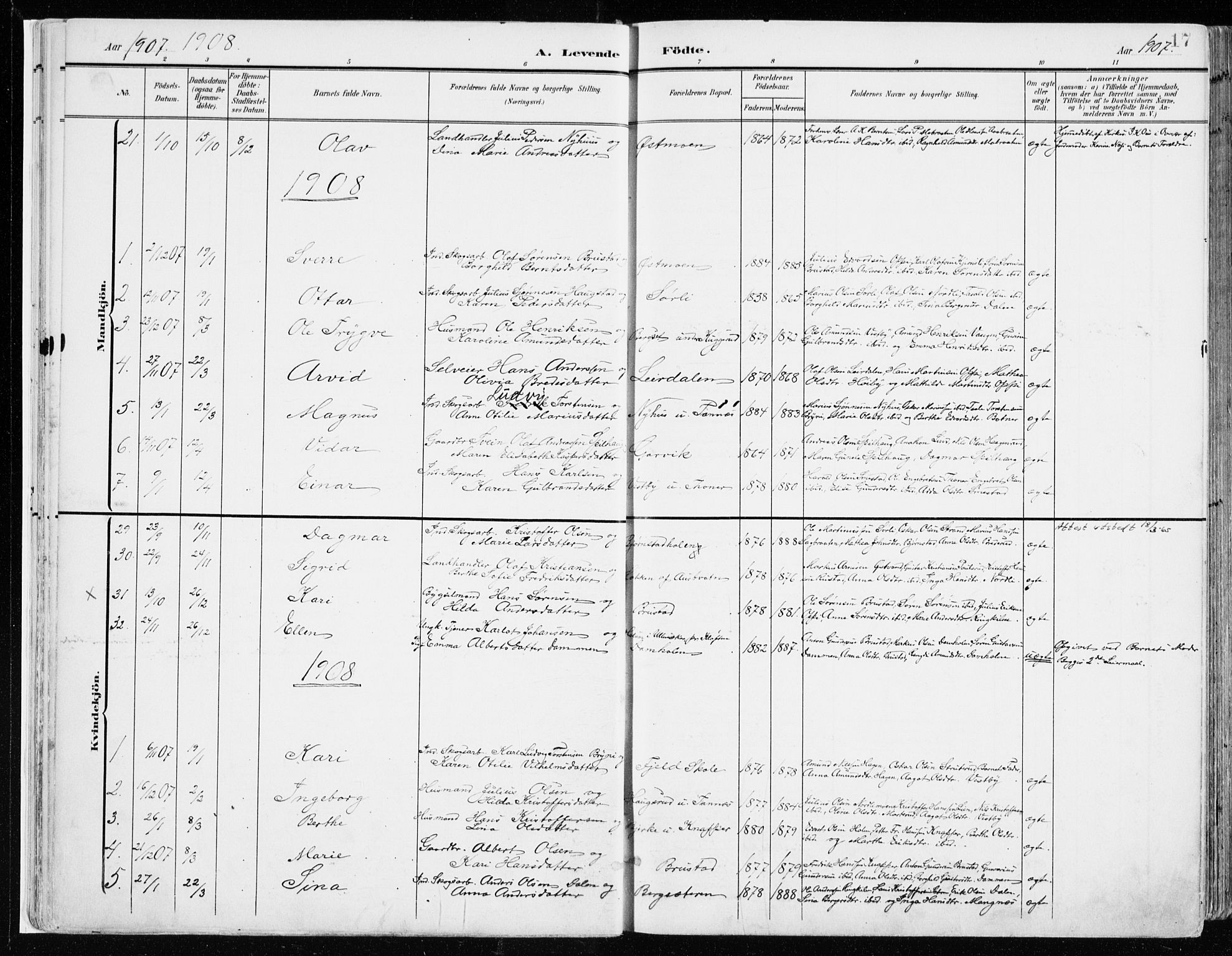 Nord-Odal prestekontor, SAH/PREST-032/H/Ha/Haa/L0009: Parish register (official) no. 9, 1902-1926, p. 17