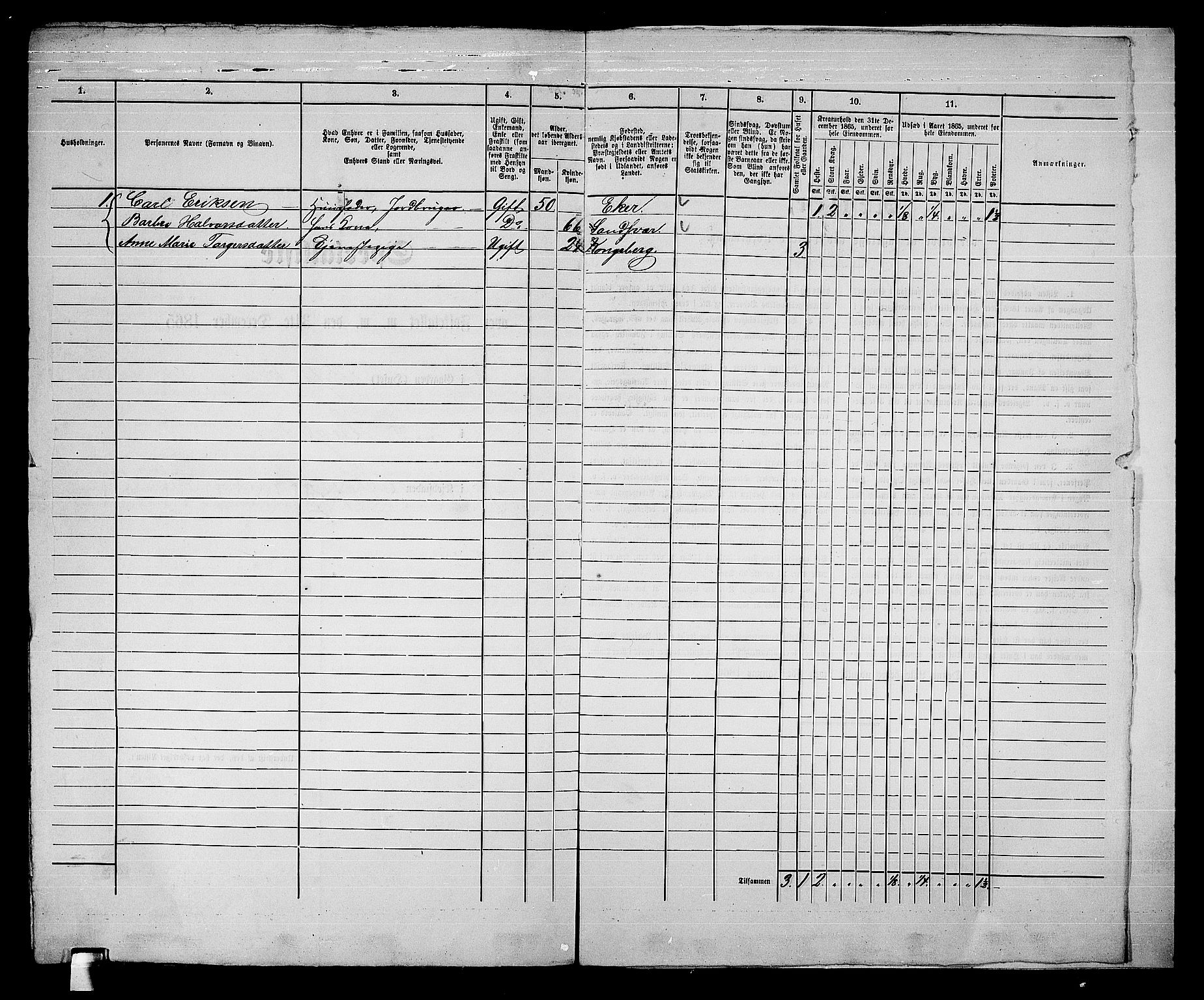RA, 1865 census for Kongsberg/Kongsberg, 1865, p. 511