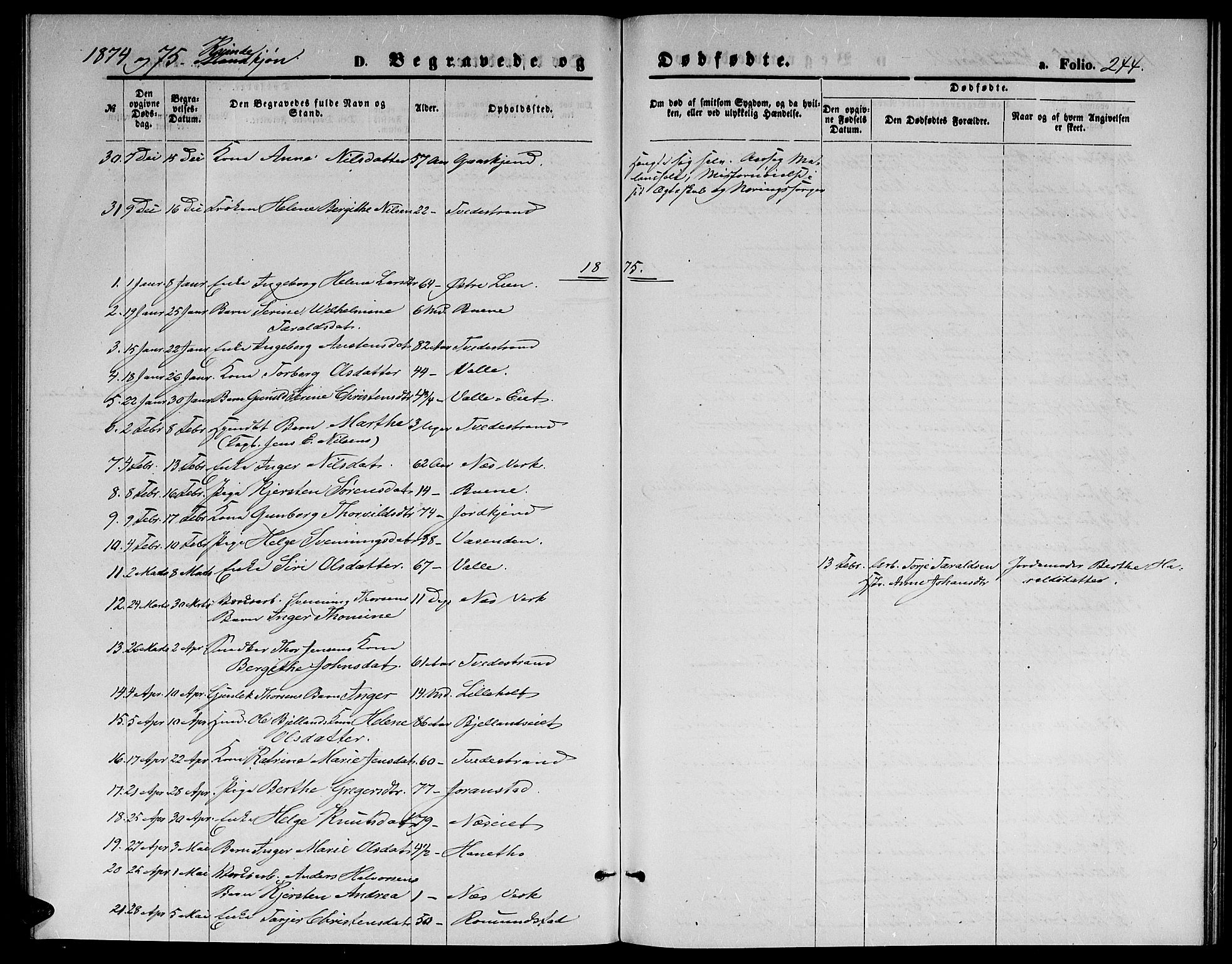 Holt sokneprestkontor, AV/SAK-1111-0021/F/Fb/L0009: Parish register (copy) no. B 9, 1871-1883, p. 244