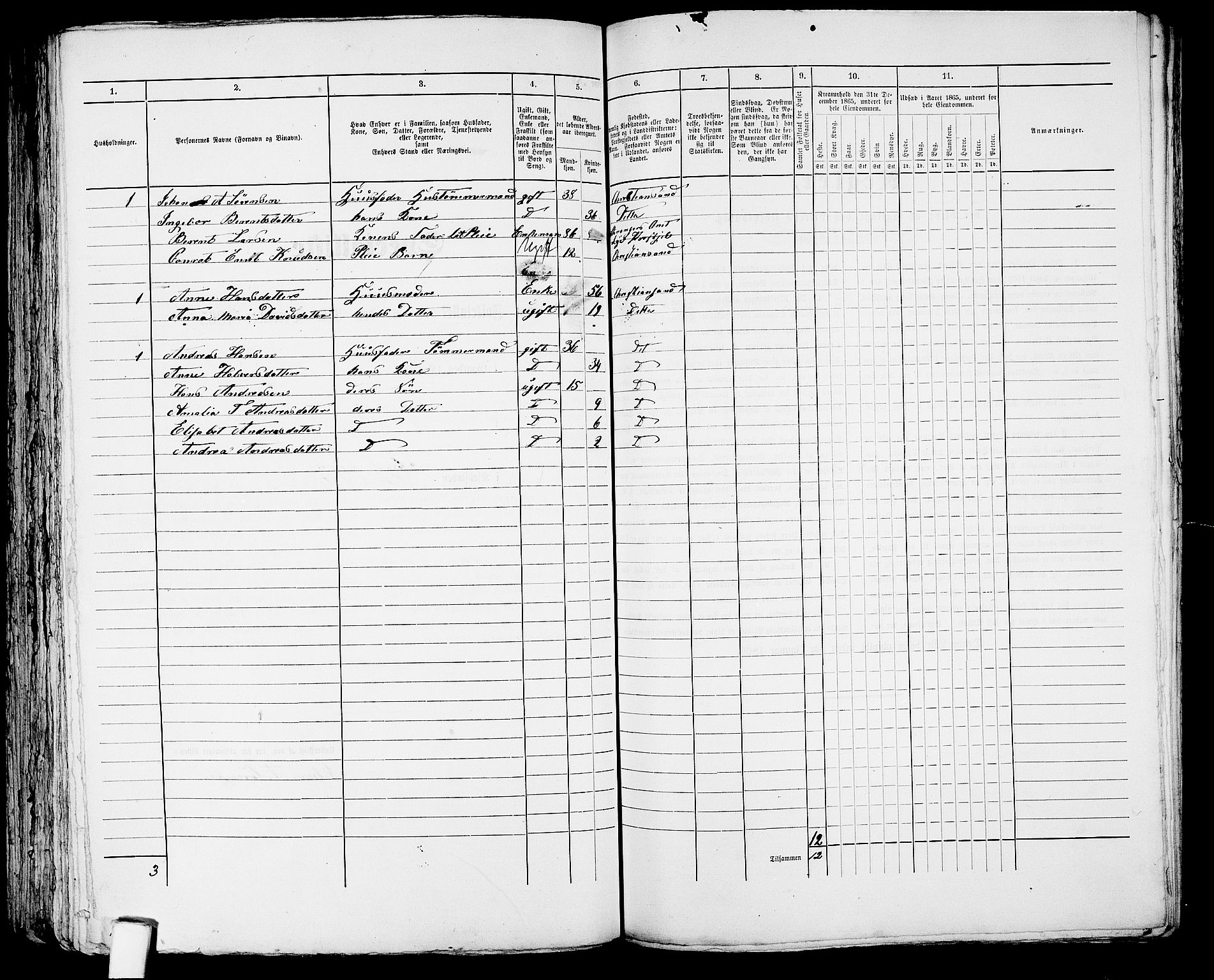 RA, 1865 census for Kristiansand, 1865, p. 1875