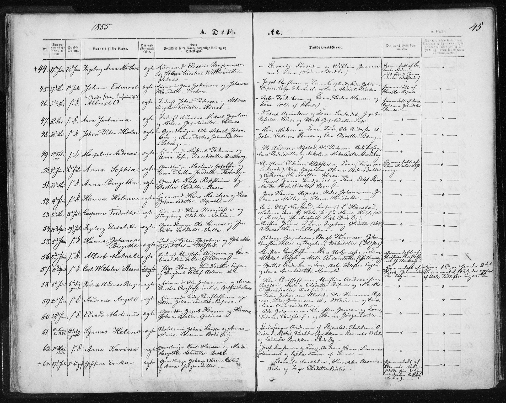 Ministerialprotokoller, klokkerbøker og fødselsregistre - Nordland, SAT/A-1459/801/L0007: Parish register (official) no. 801A07, 1845-1863, p. 45