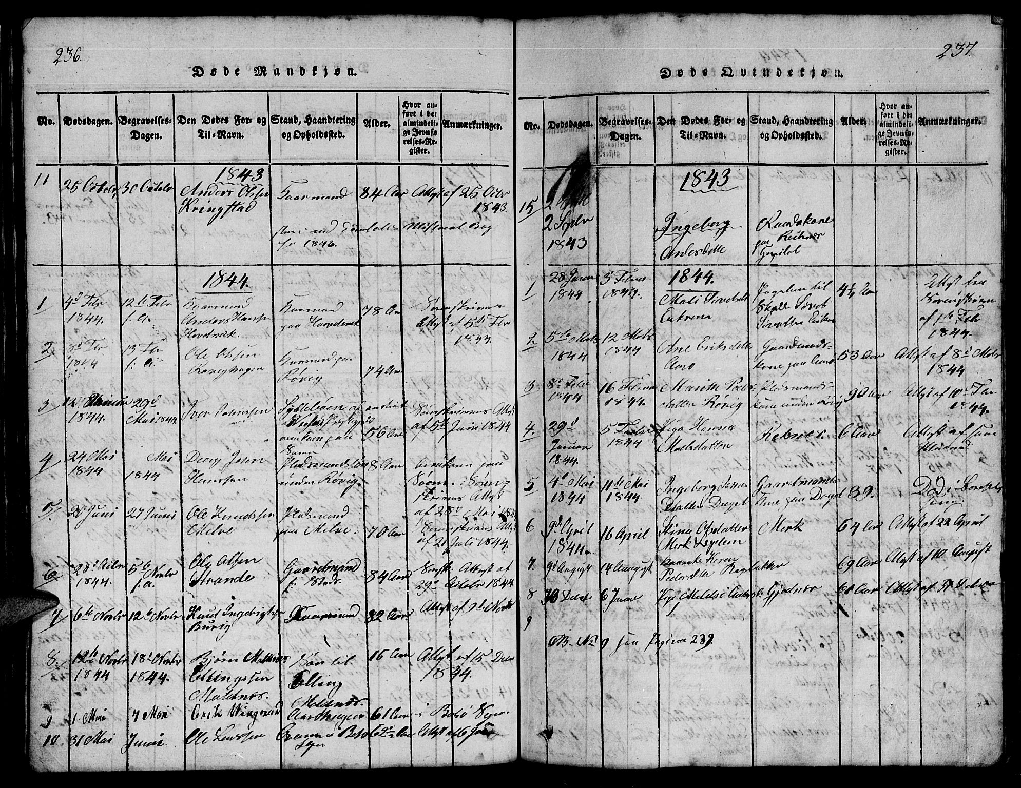Ministerialprotokoller, klokkerbøker og fødselsregistre - Møre og Romsdal, SAT/A-1454/555/L0665: Parish register (copy) no. 555C01, 1818-1868, p. 236-237
