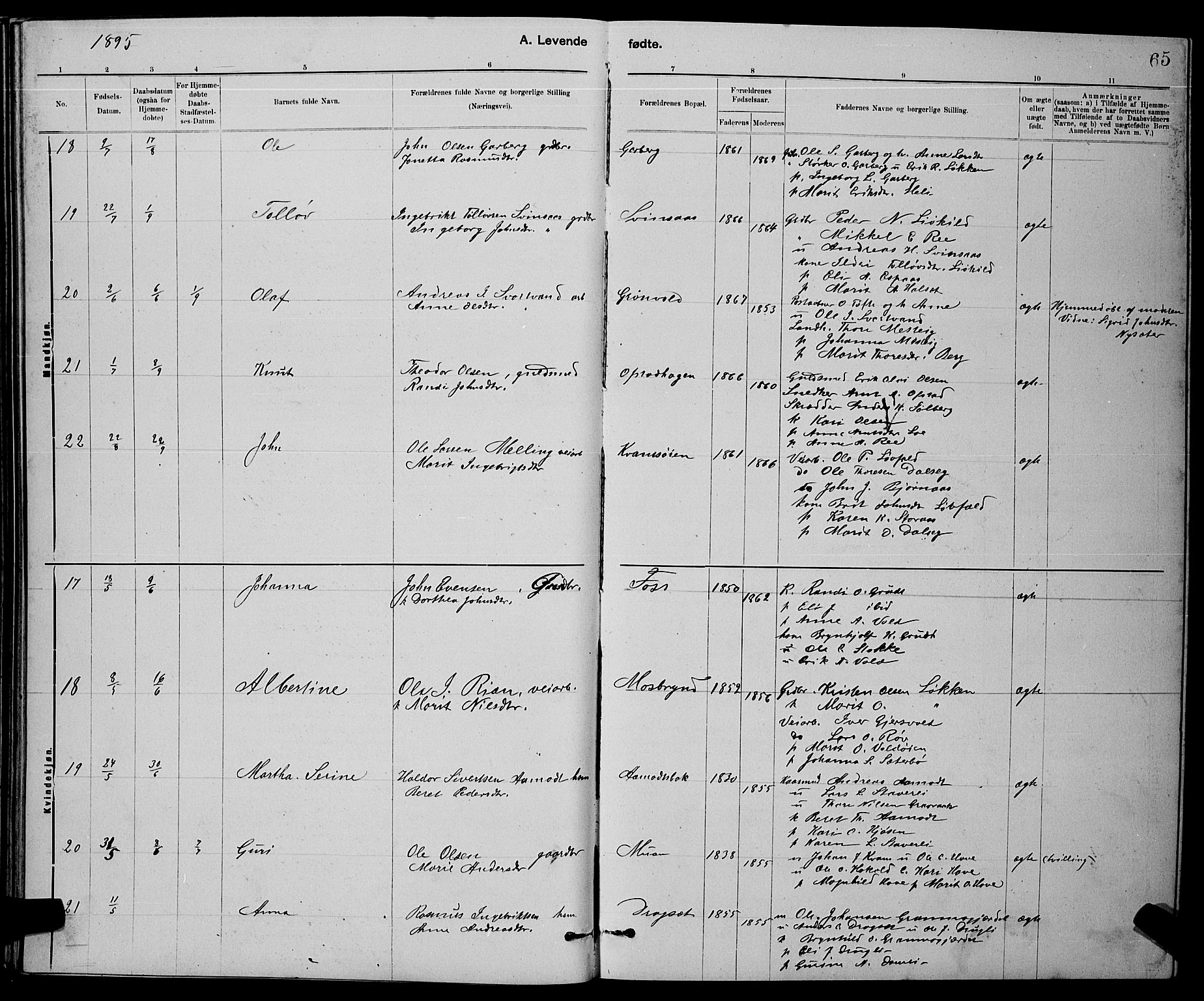 Ministerialprotokoller, klokkerbøker og fødselsregistre - Sør-Trøndelag, AV/SAT-A-1456/672/L0863: Parish register (copy) no. 672C02, 1888-1901, p. 65