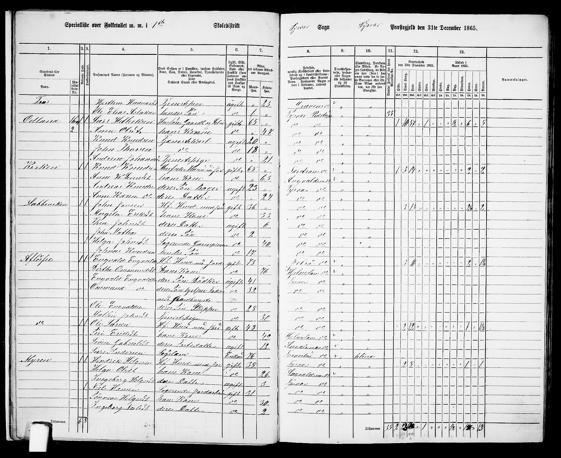 RA, 1865 census for Tysvær, 1865, p. 12