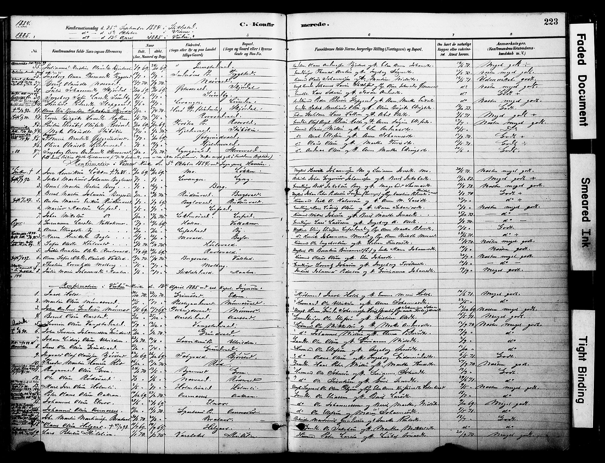 Ministerialprotokoller, klokkerbøker og fødselsregistre - Nord-Trøndelag, SAT/A-1458/723/L0244: Parish register (official) no. 723A13, 1881-1899, p. 223