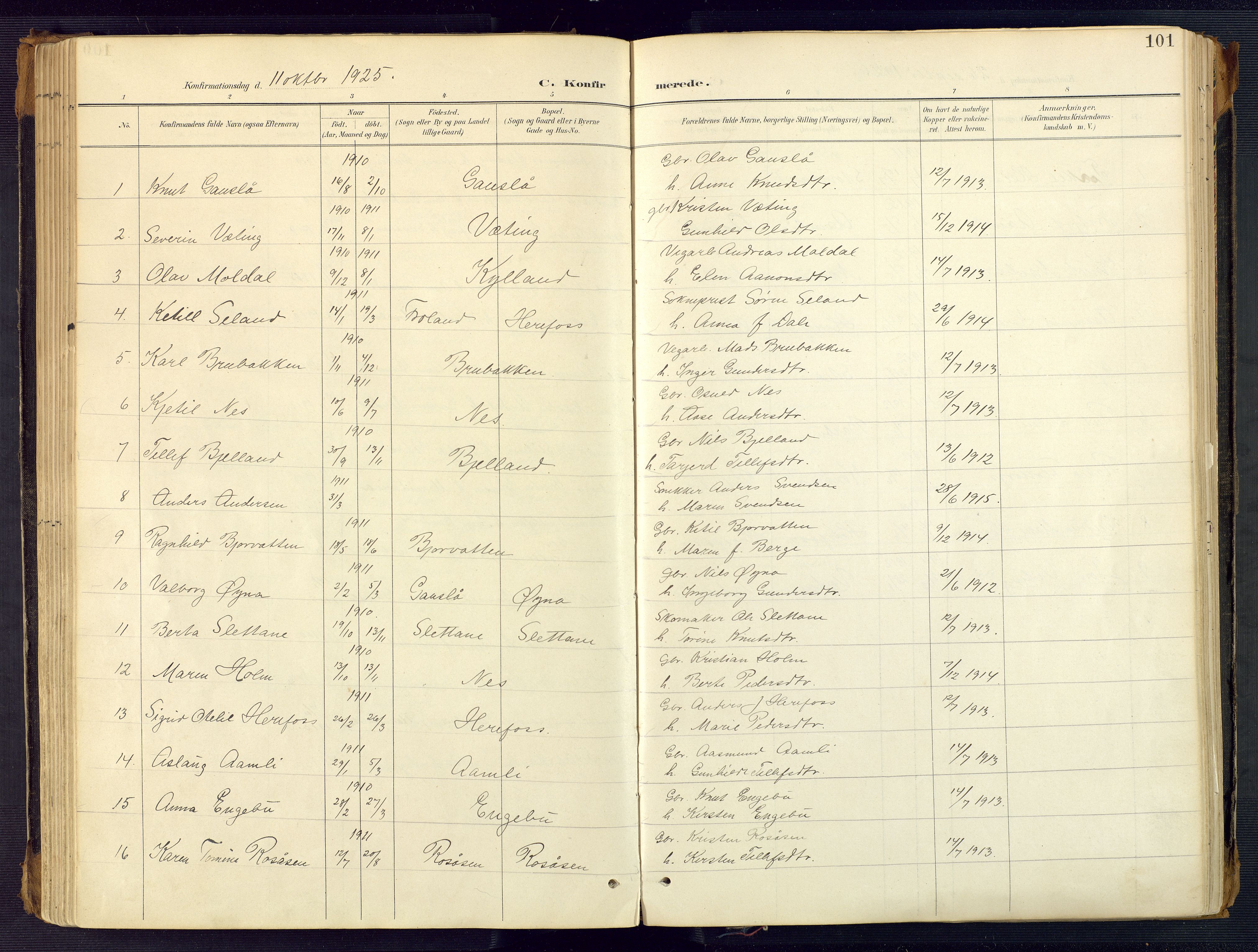 Herefoss sokneprestkontor, AV/SAK-1111-0019/F/Fa/Faa/L0003: Parish register (official) no. A 3, 1887-1930, p. 101