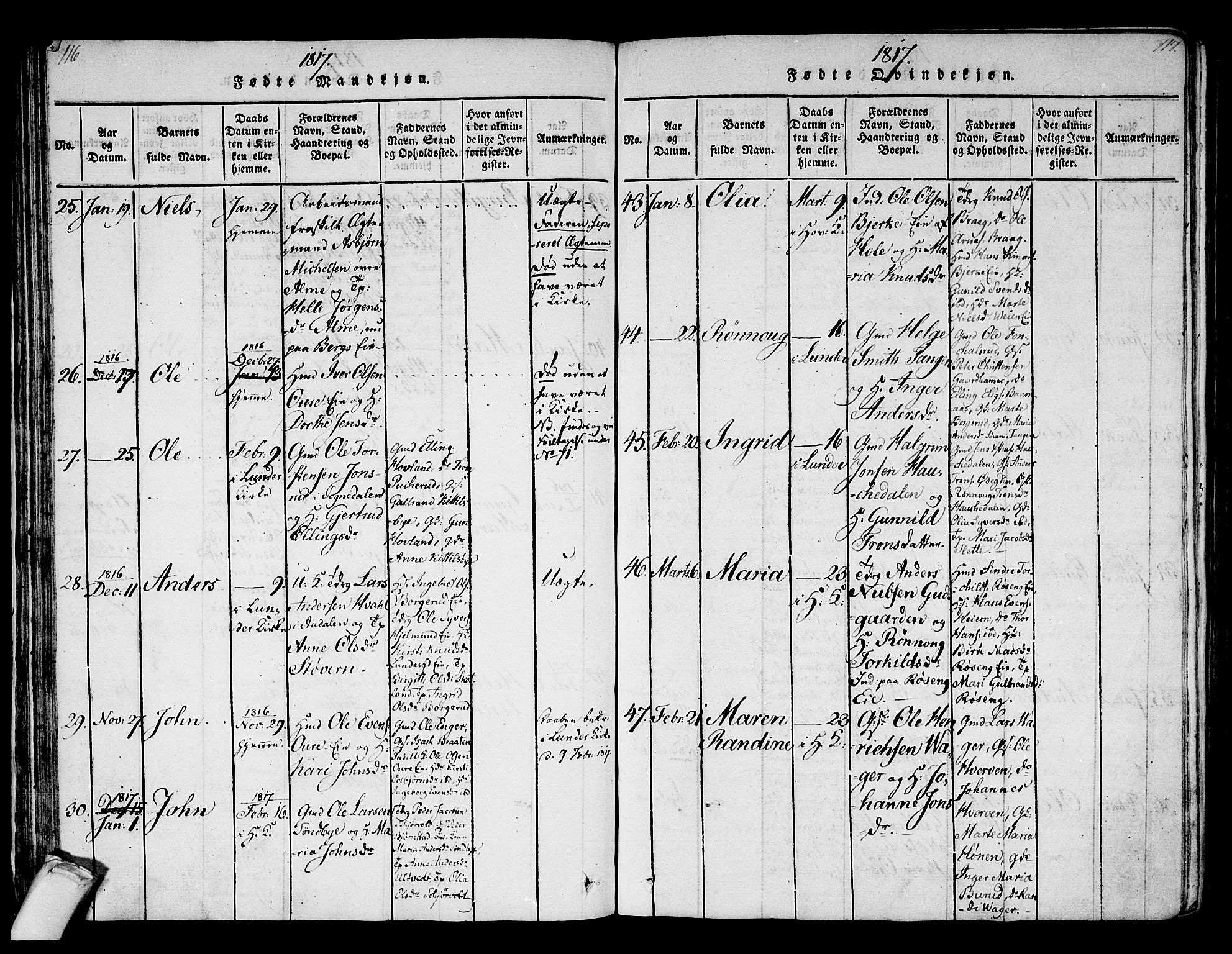 Norderhov kirkebøker, SAKO/A-237/F/Fa/L0008: Parish register (official) no. 8, 1814-1833, p. 116-117