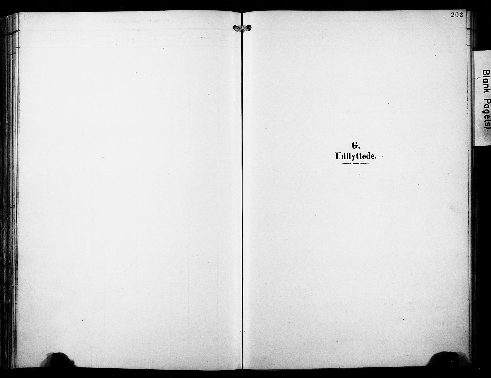 Loppa sokneprestkontor, SATØ/S-1339/H/Ha/L0009kirke: Parish register (official) no. 9, 1895-1909, p. 202