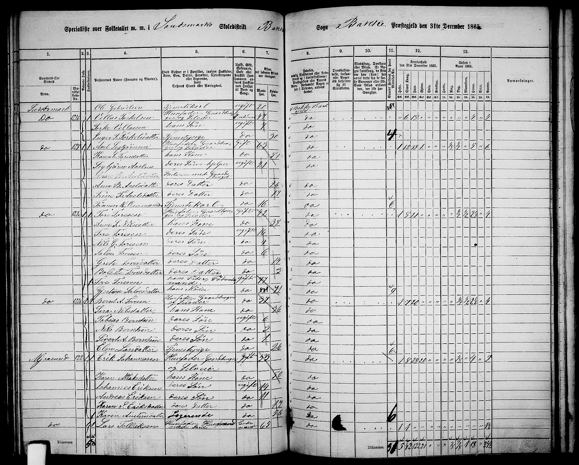 RA, 1865 census for Bakke, 1865, p. 87