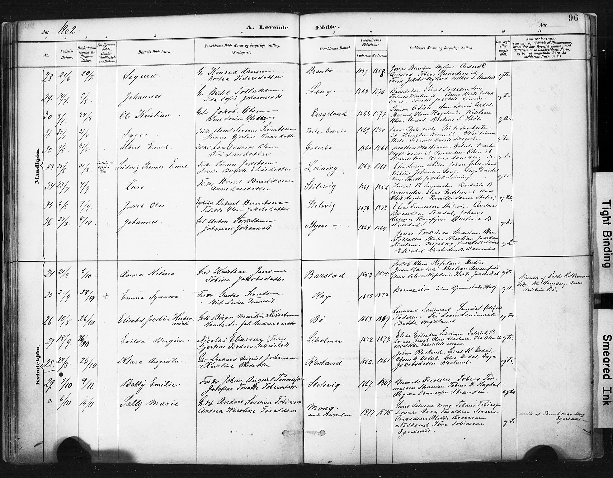 Sokndal sokneprestkontor, AV/SAST-A-101808: Parish register (official) no. A 11.1, 1887-1905, p. 96