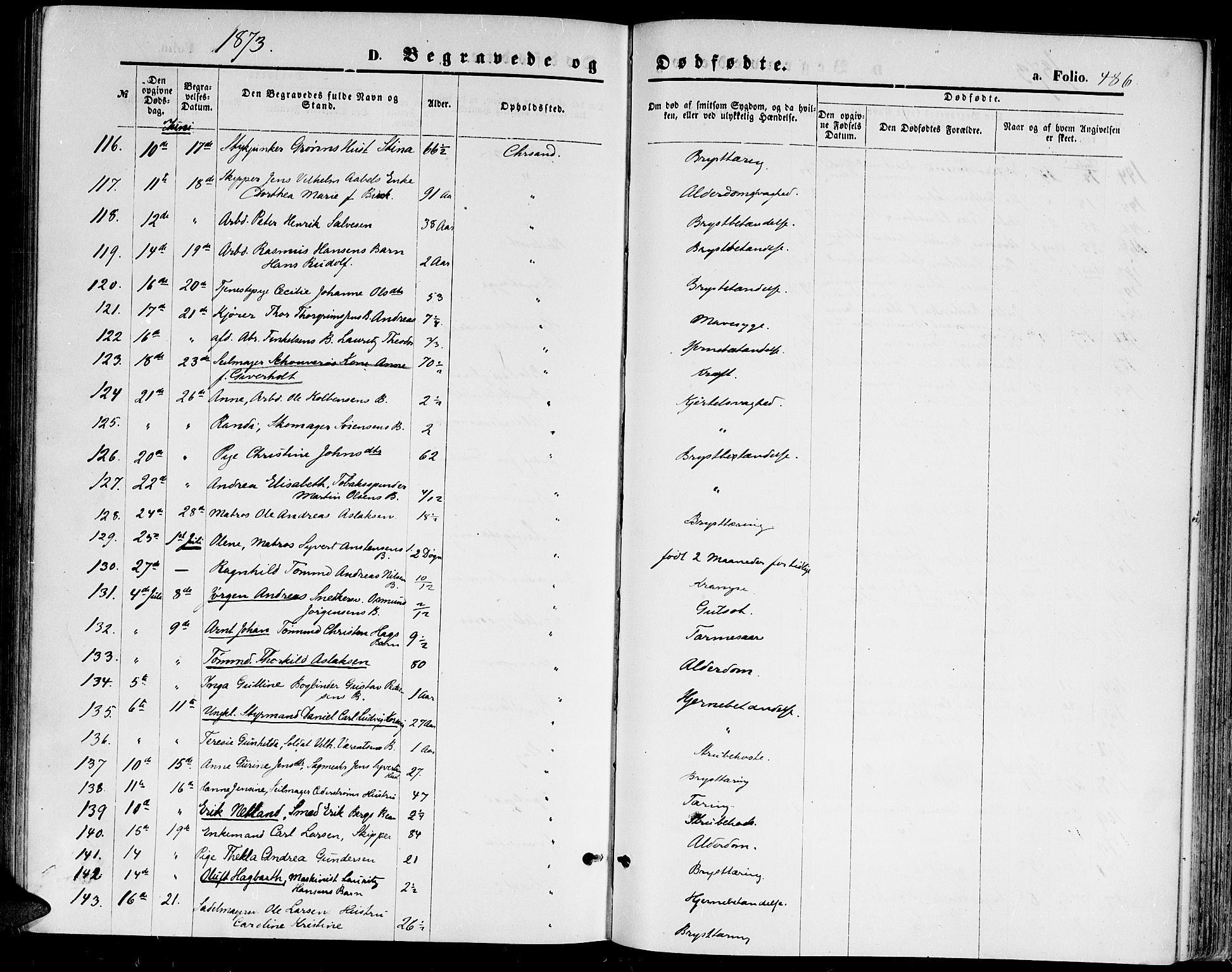 Kristiansand domprosti, AV/SAK-1112-0006/F/Fb/L0013: Parish register (copy) no. B 13, 1871-1880, p. 486