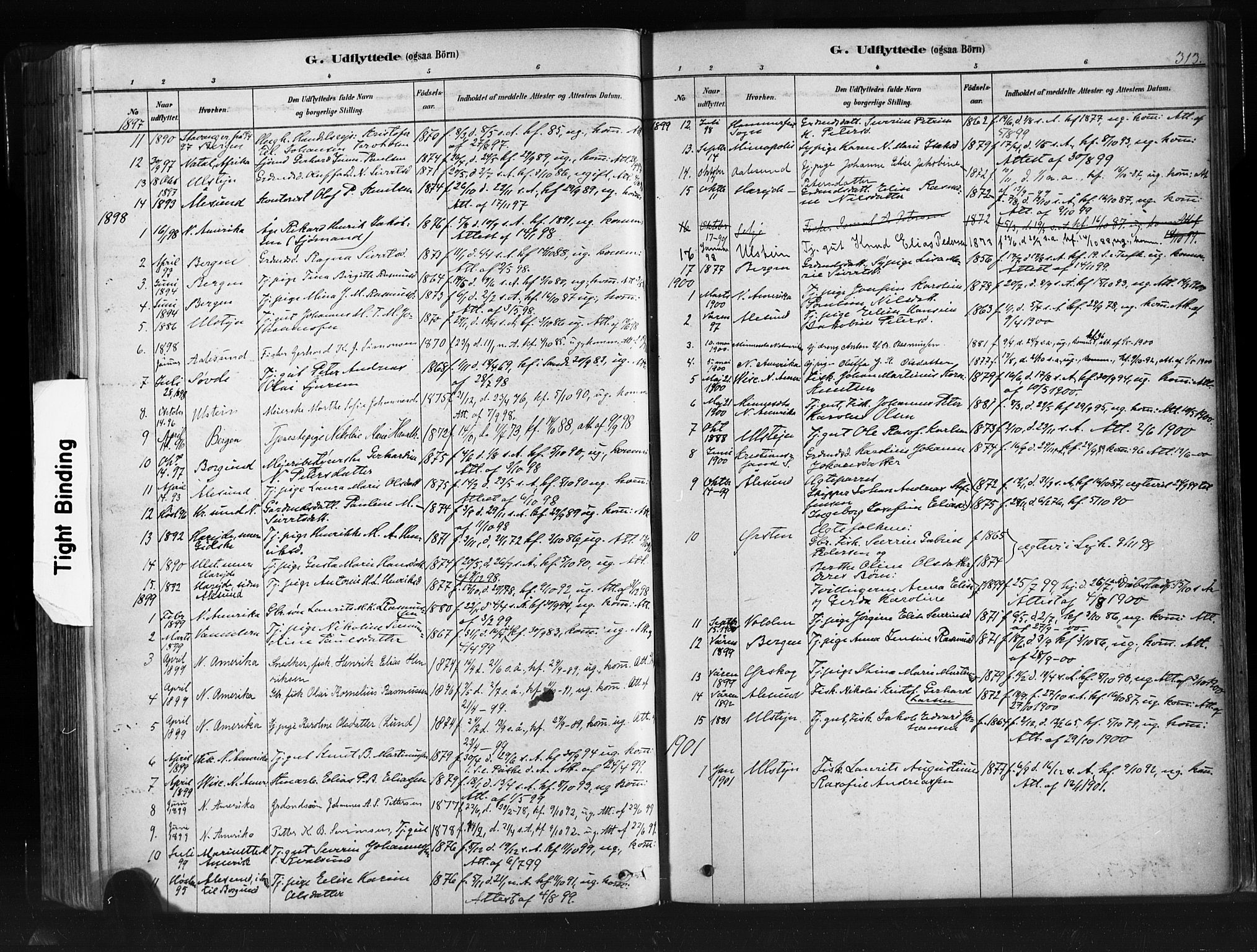 Ministerialprotokoller, klokkerbøker og fødselsregistre - Møre og Romsdal, SAT/A-1454/507/L0073: Parish register (official) no. 507A08, 1878-1904, p. 313