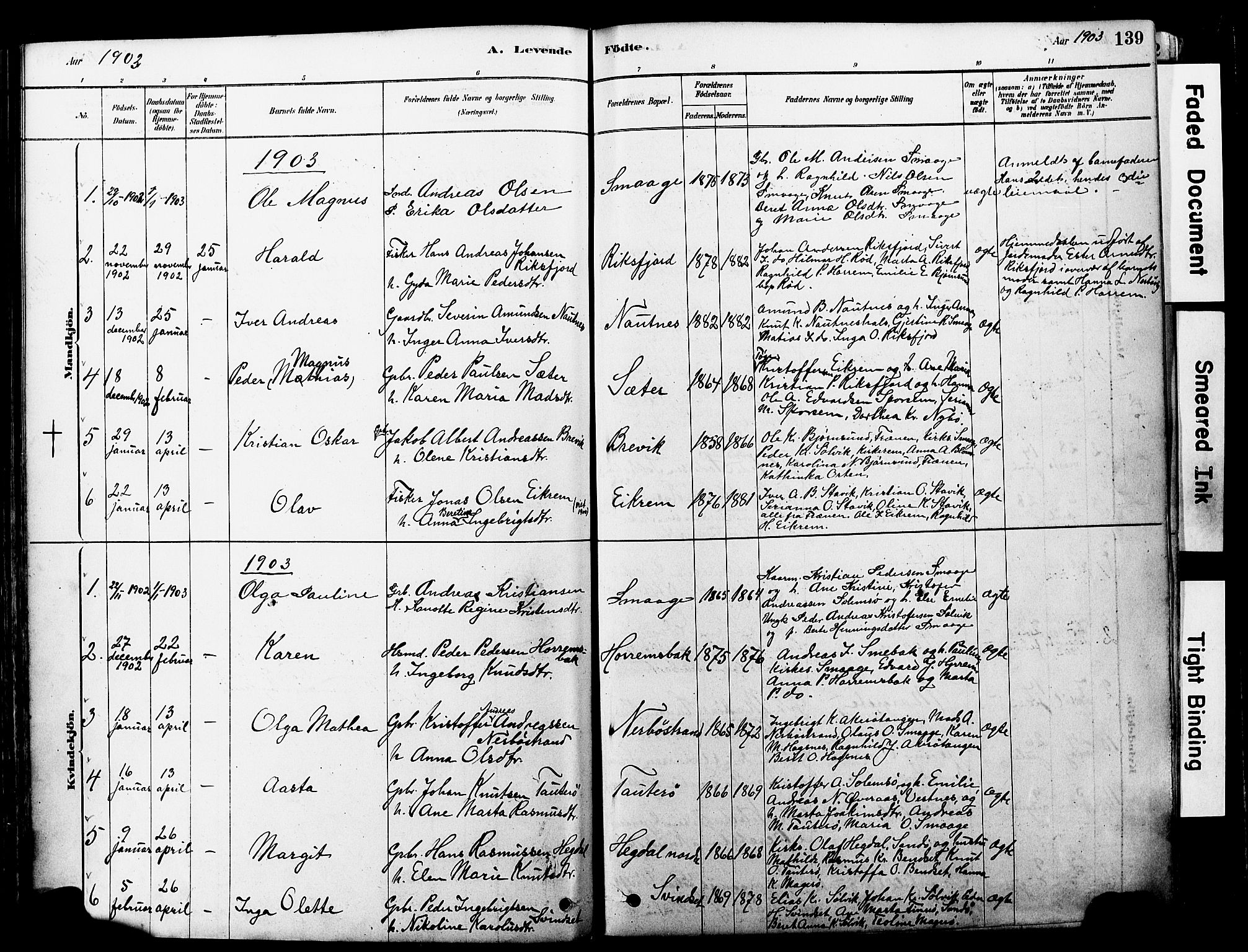 Ministerialprotokoller, klokkerbøker og fødselsregistre - Møre og Romsdal, AV/SAT-A-1454/560/L0721: Parish register (official) no. 560A05, 1878-1917, p. 139