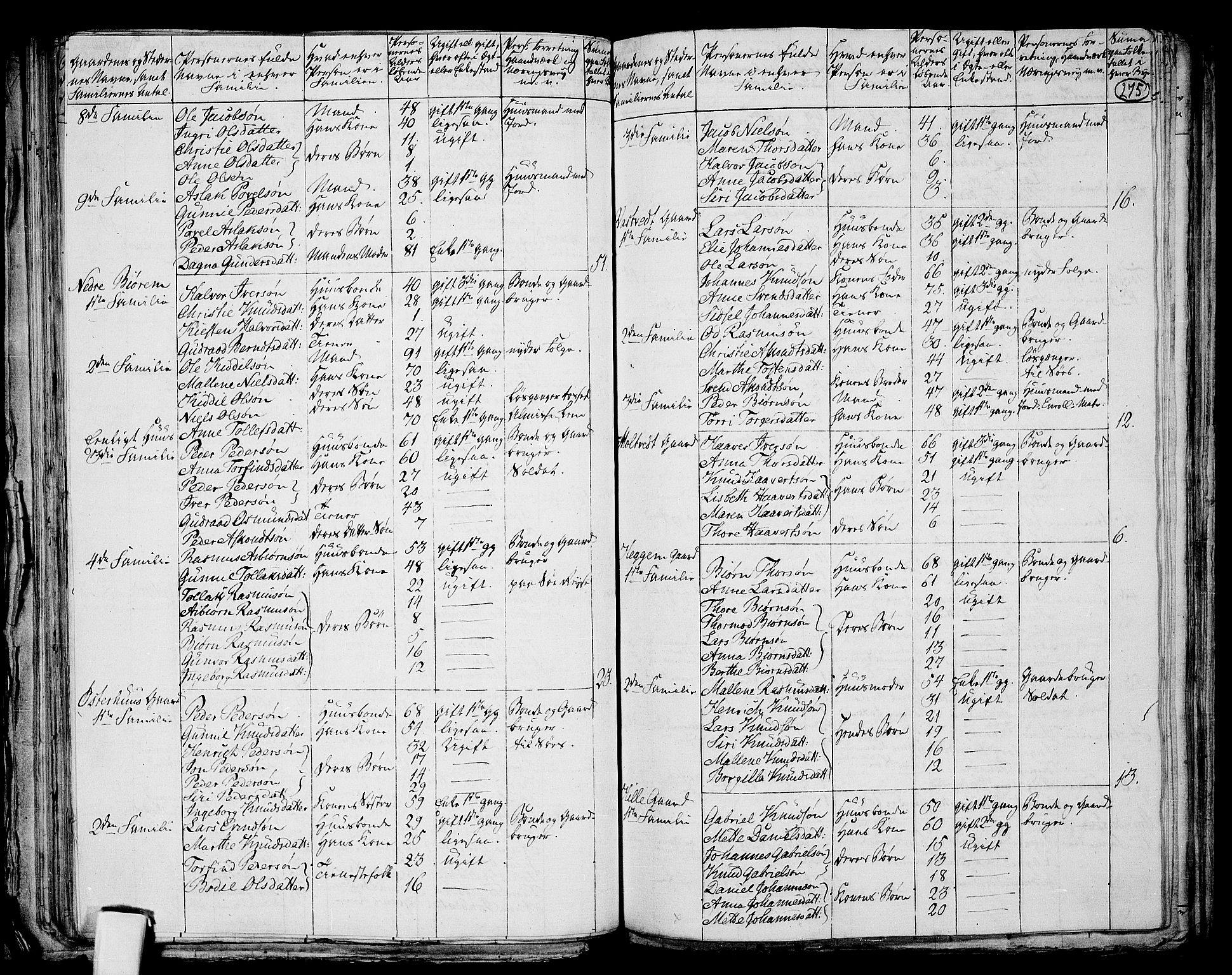 RA, 1801 census for 1130P Strand, 1801, p. 274b-275a