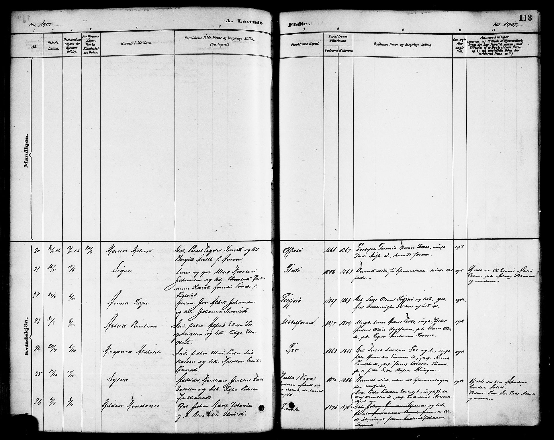 Ministerialprotokoller, klokkerbøker og fødselsregistre - Nordland, AV/SAT-A-1459/817/L0268: Parish register (copy) no. 817C03, 1884-1920, p. 113