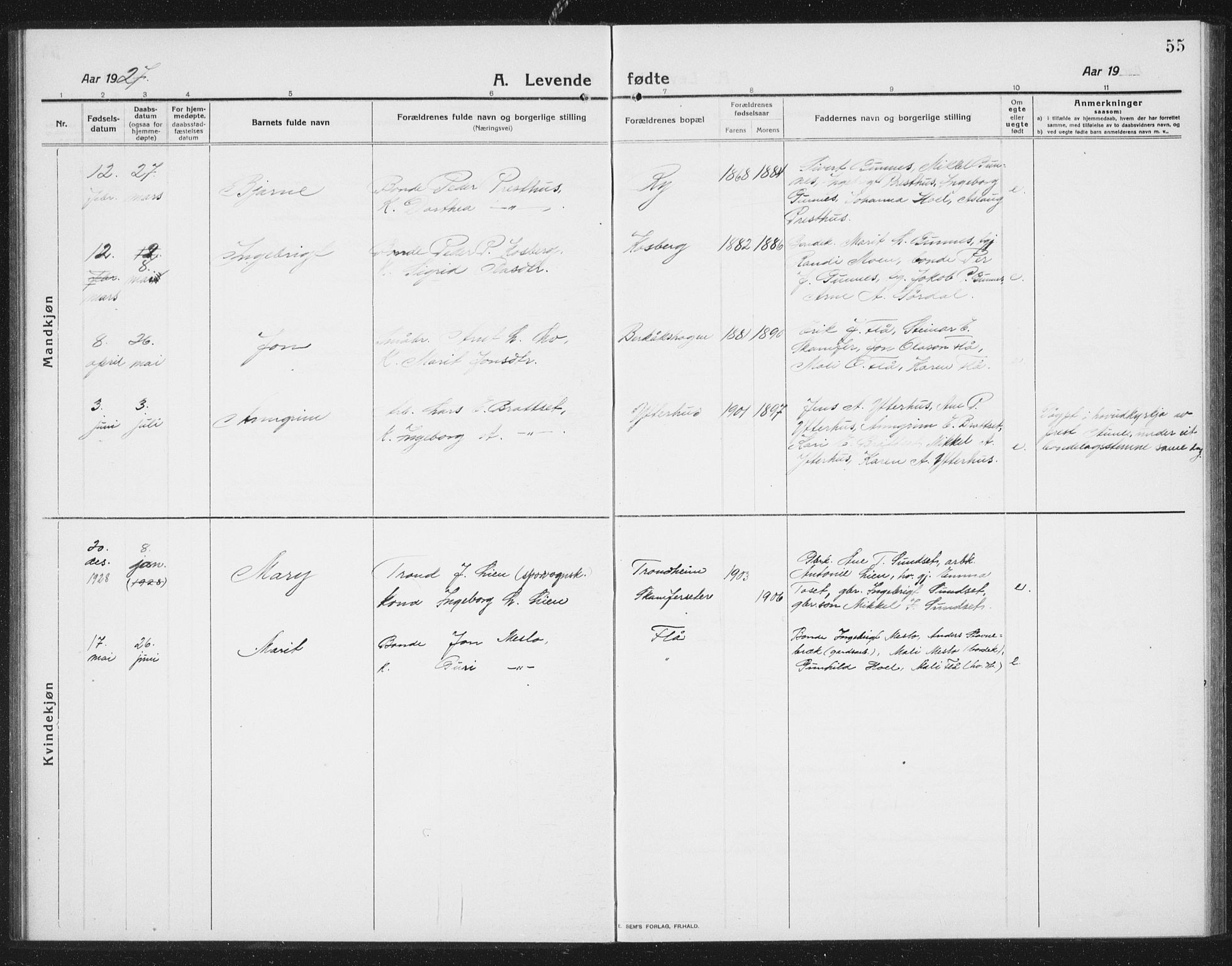 Ministerialprotokoller, klokkerbøker og fødselsregistre - Sør-Trøndelag, SAT/A-1456/675/L0888: Parish register (copy) no. 675C01, 1913-1935, p. 55