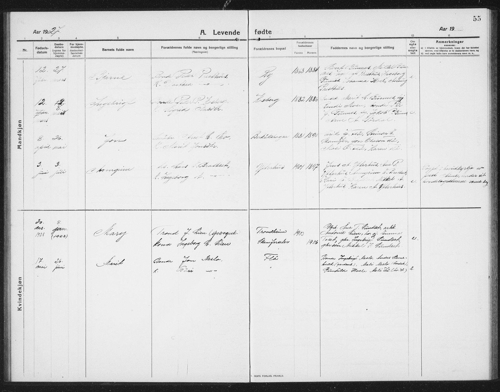 Ministerialprotokoller, klokkerbøker og fødselsregistre - Sør-Trøndelag, AV/SAT-A-1456/675/L0888: Parish register (copy) no. 675C01, 1913-1935, p. 55