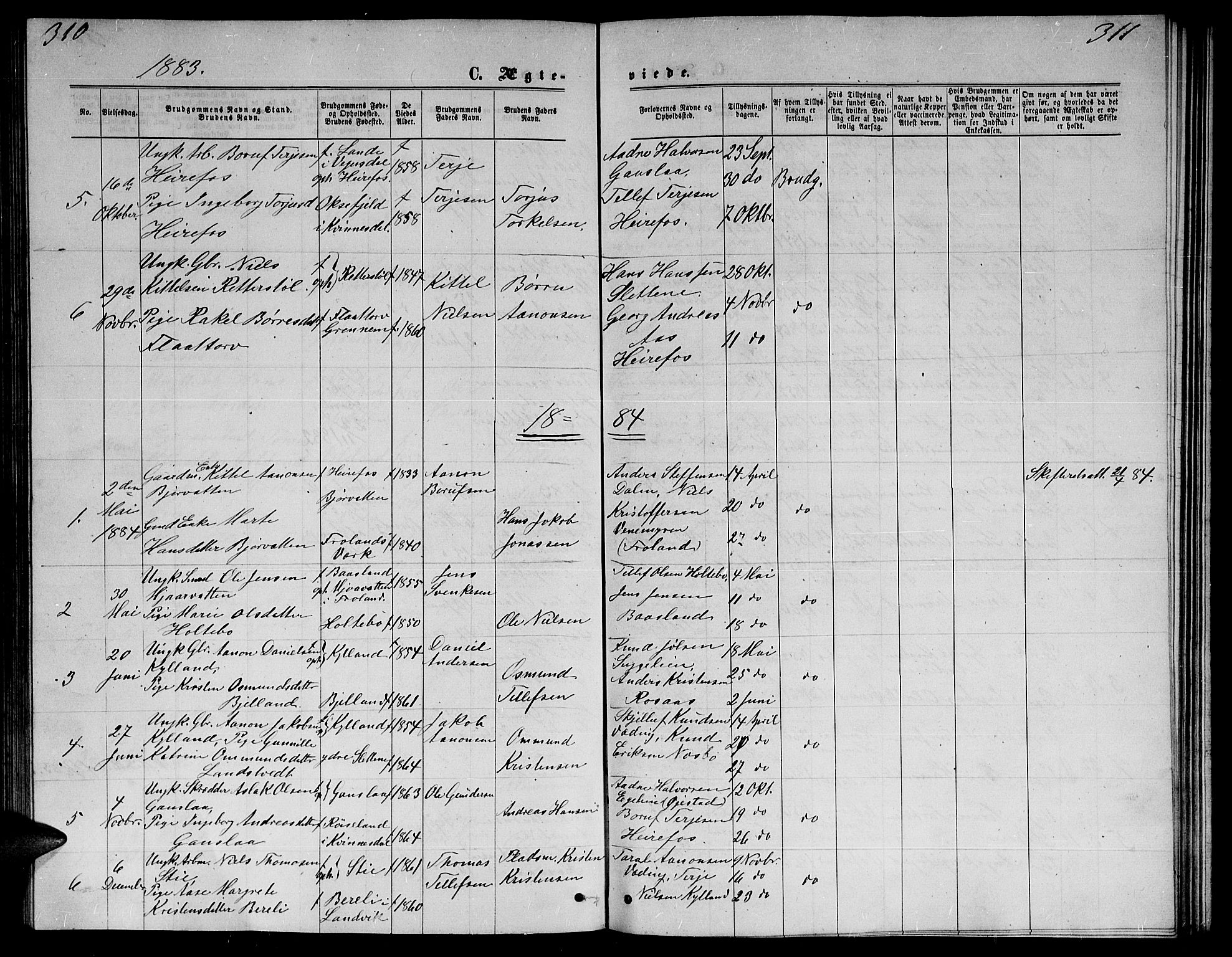 Herefoss sokneprestkontor, SAK/1111-0019/F/Fb/Fba/L0002: Parish register (copy) no. B 2, 1868-1886, p. 310-311