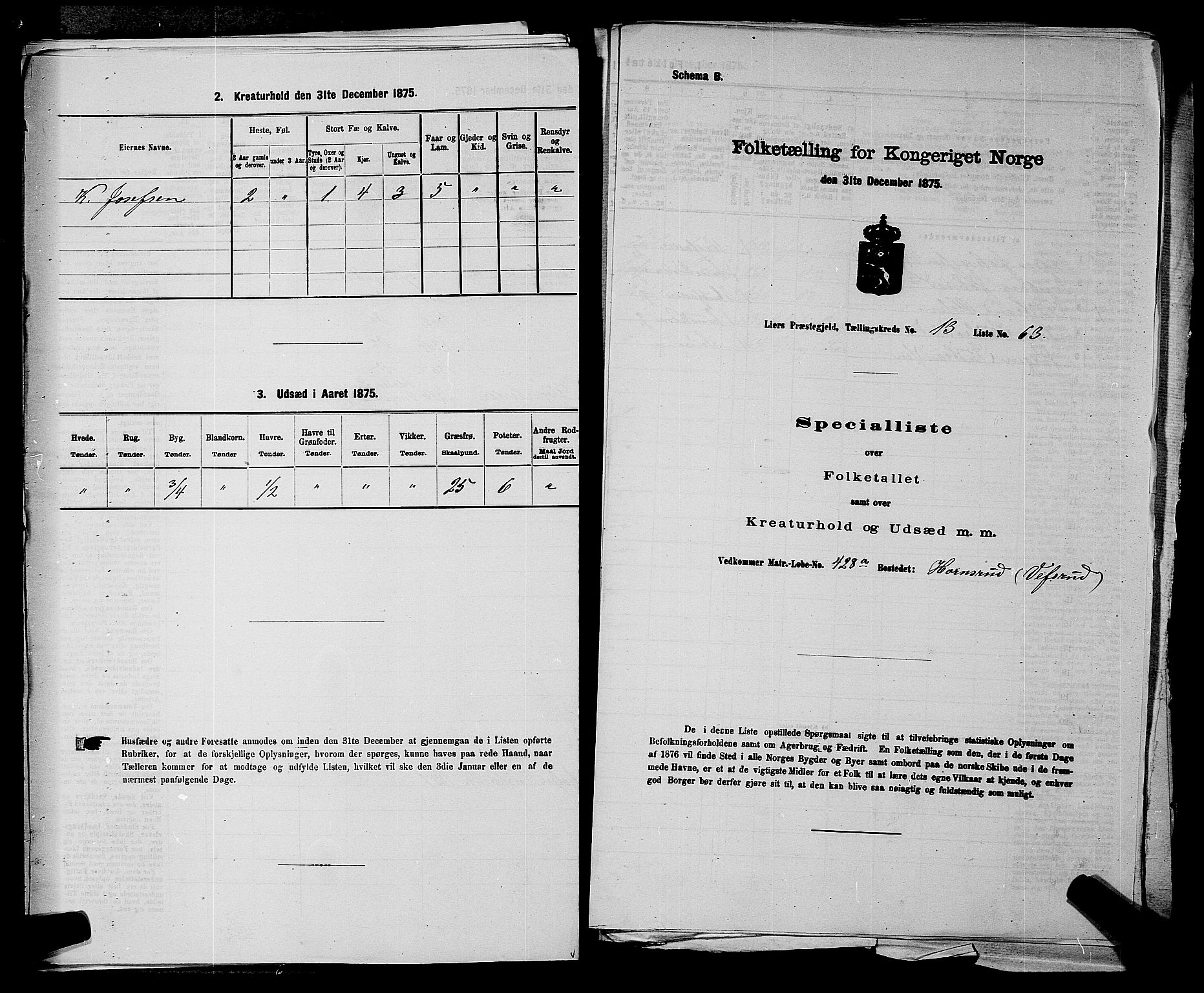 SAKO, 1875 census for 0626P Lier, 1875, p. 2424